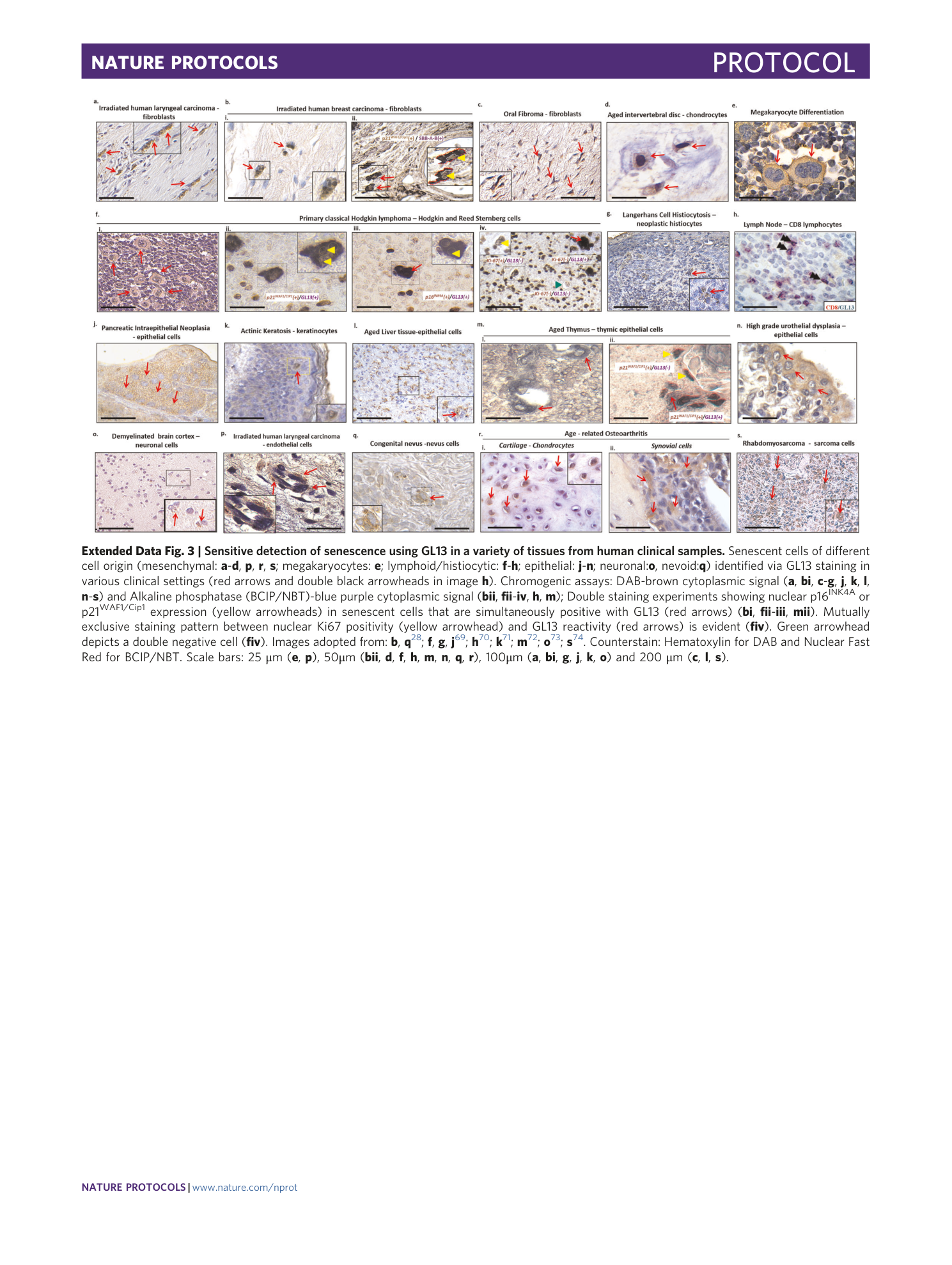 page-31