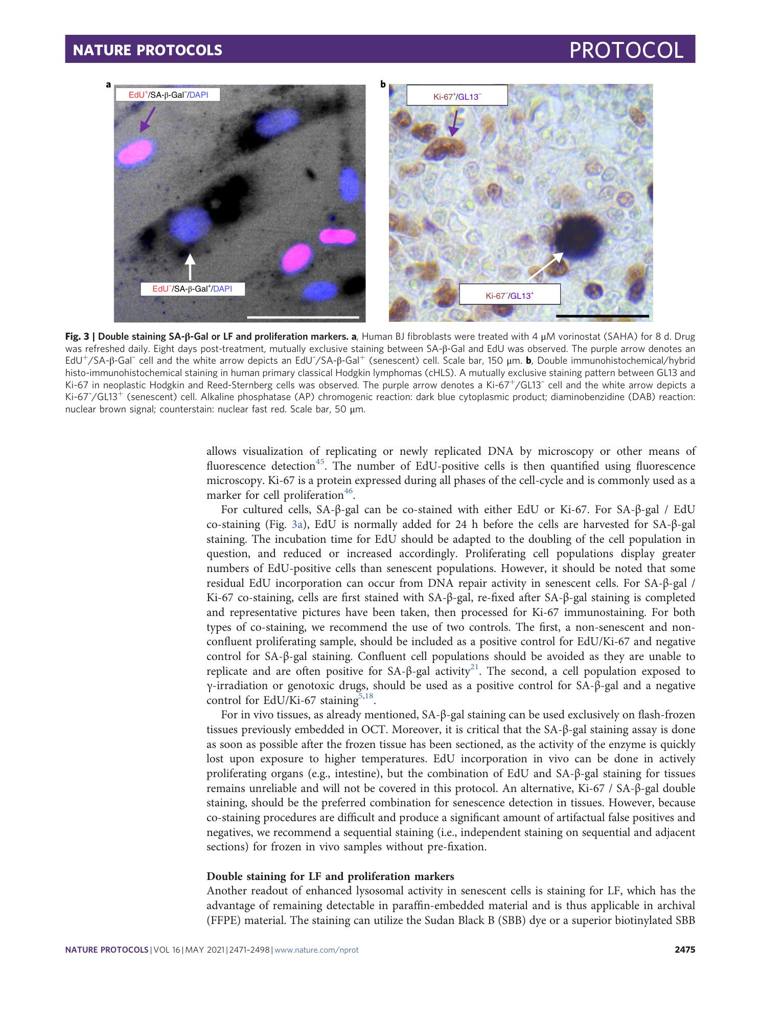 page-5