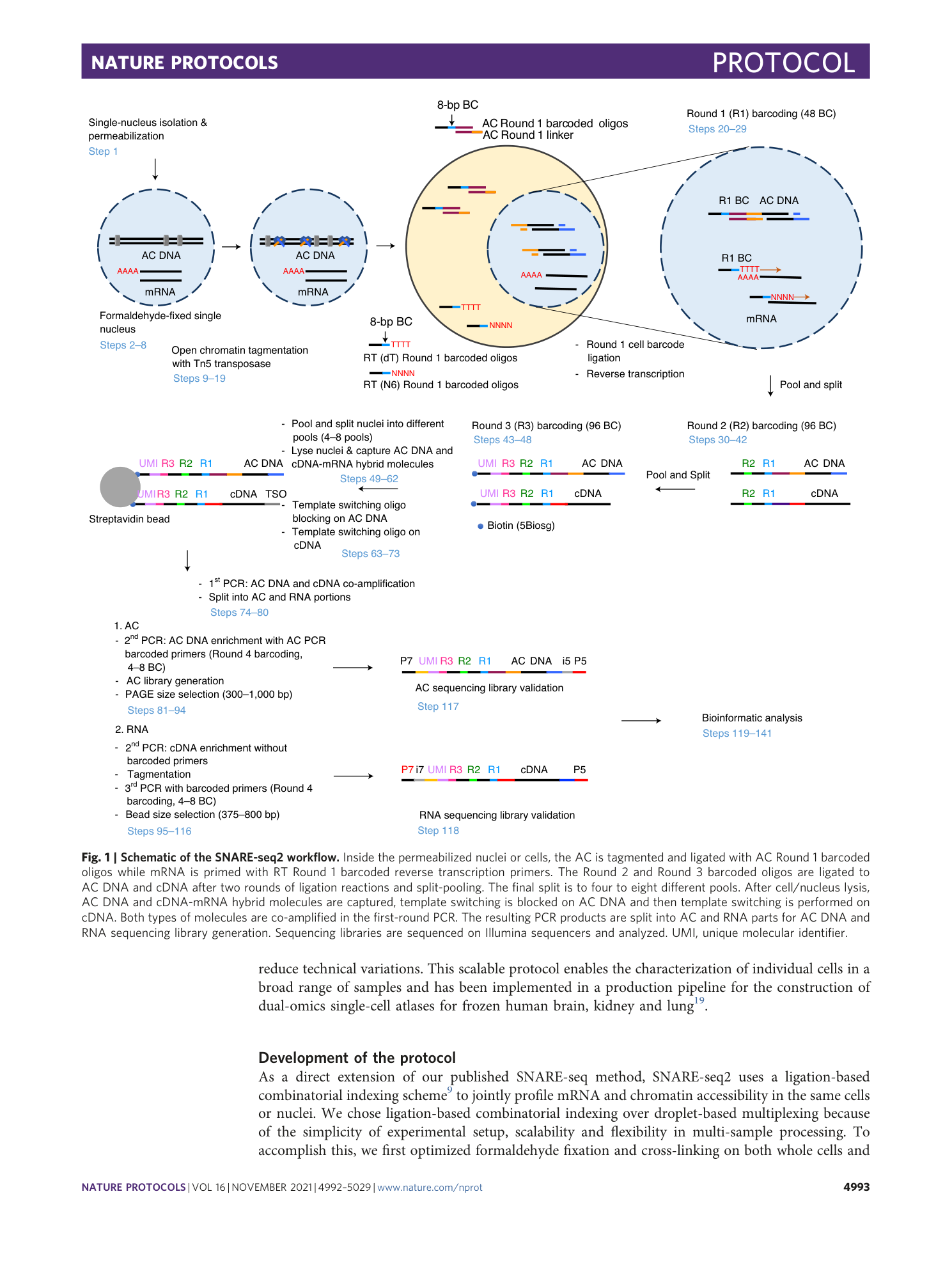 page-2