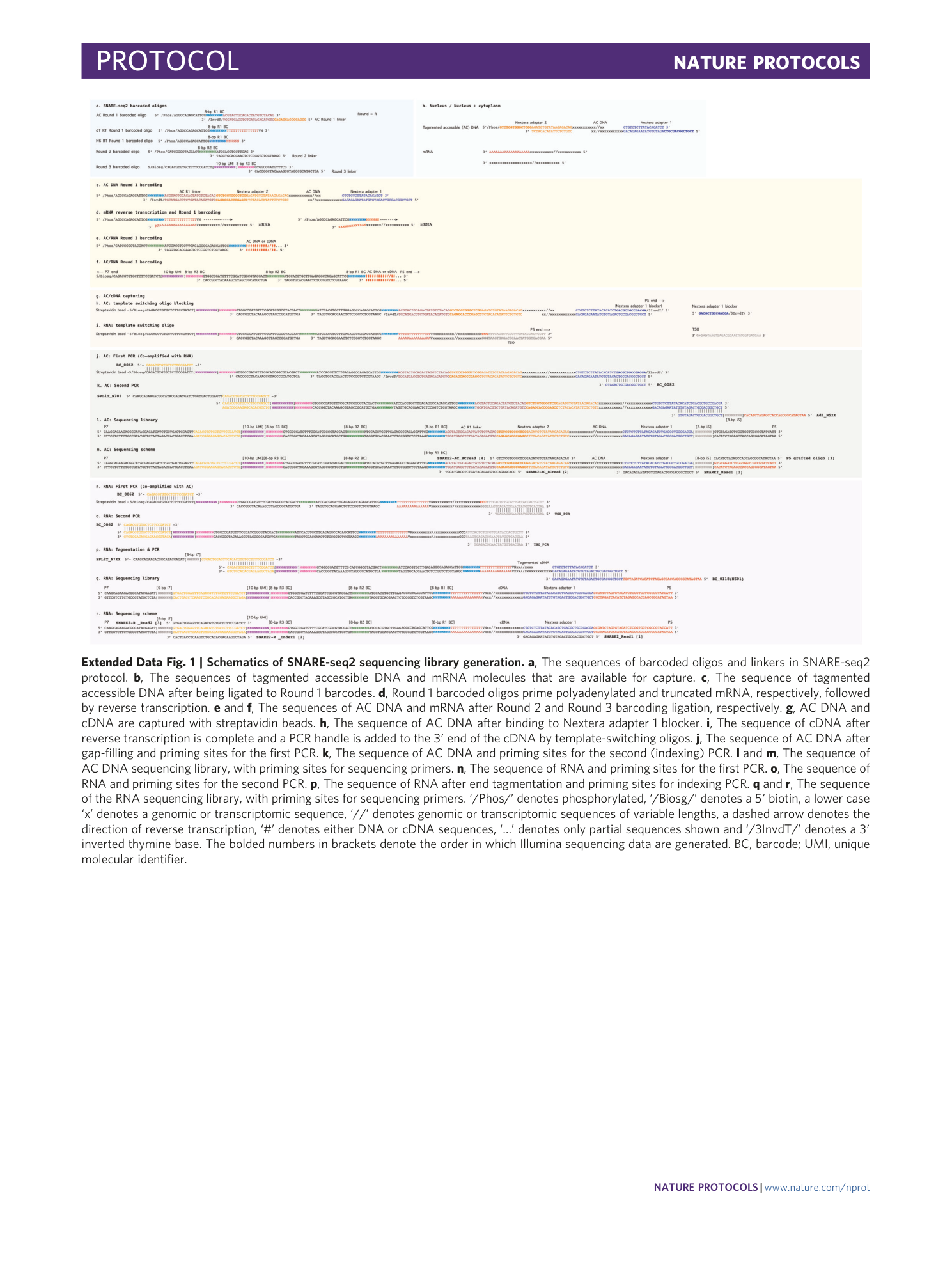 page-39