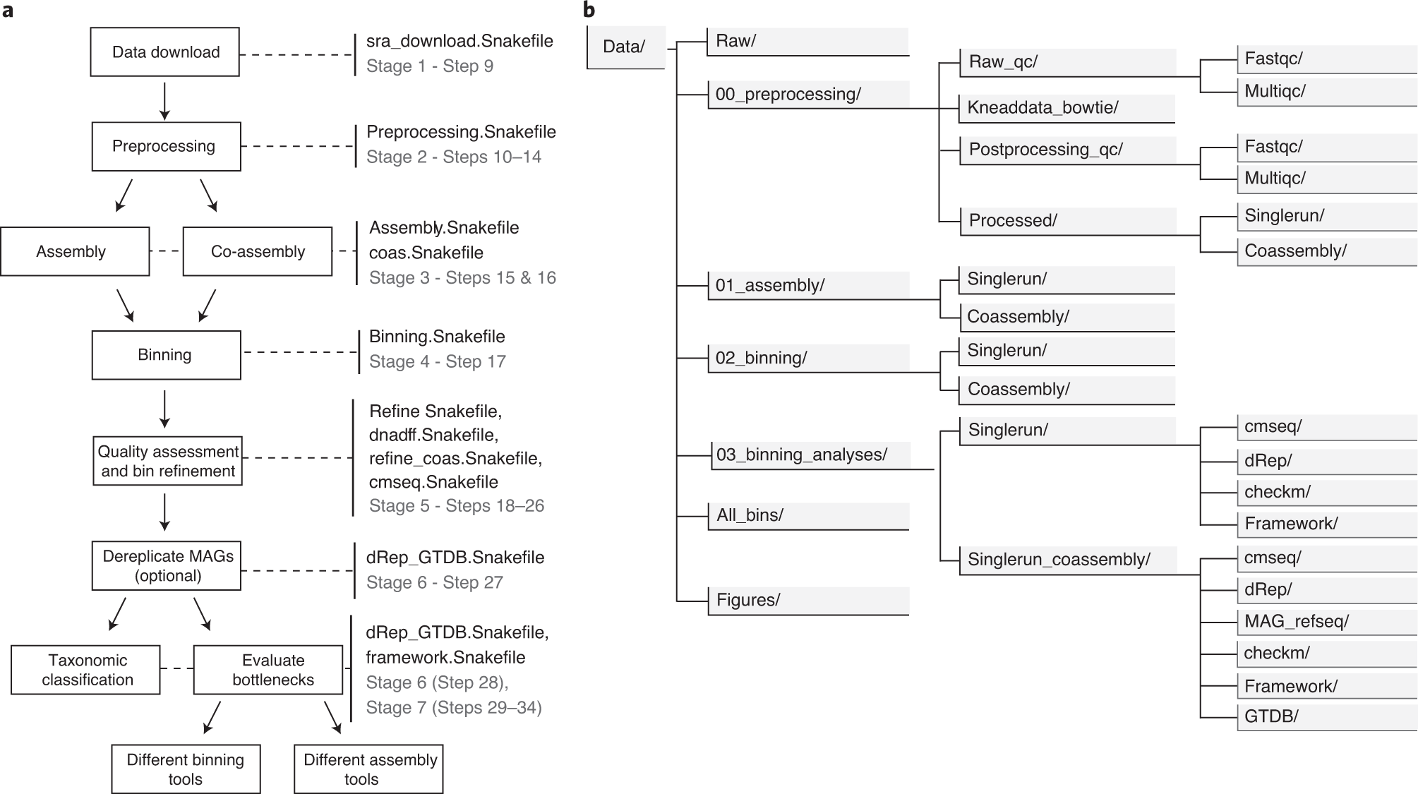 Fig. 1: Overview of workflow for recovery of prokaryotic MAGs from shotgun metagenomic sequence data.