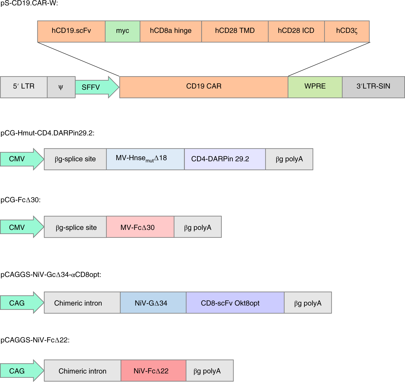 Fig. 3: Plasmids for LV production.
