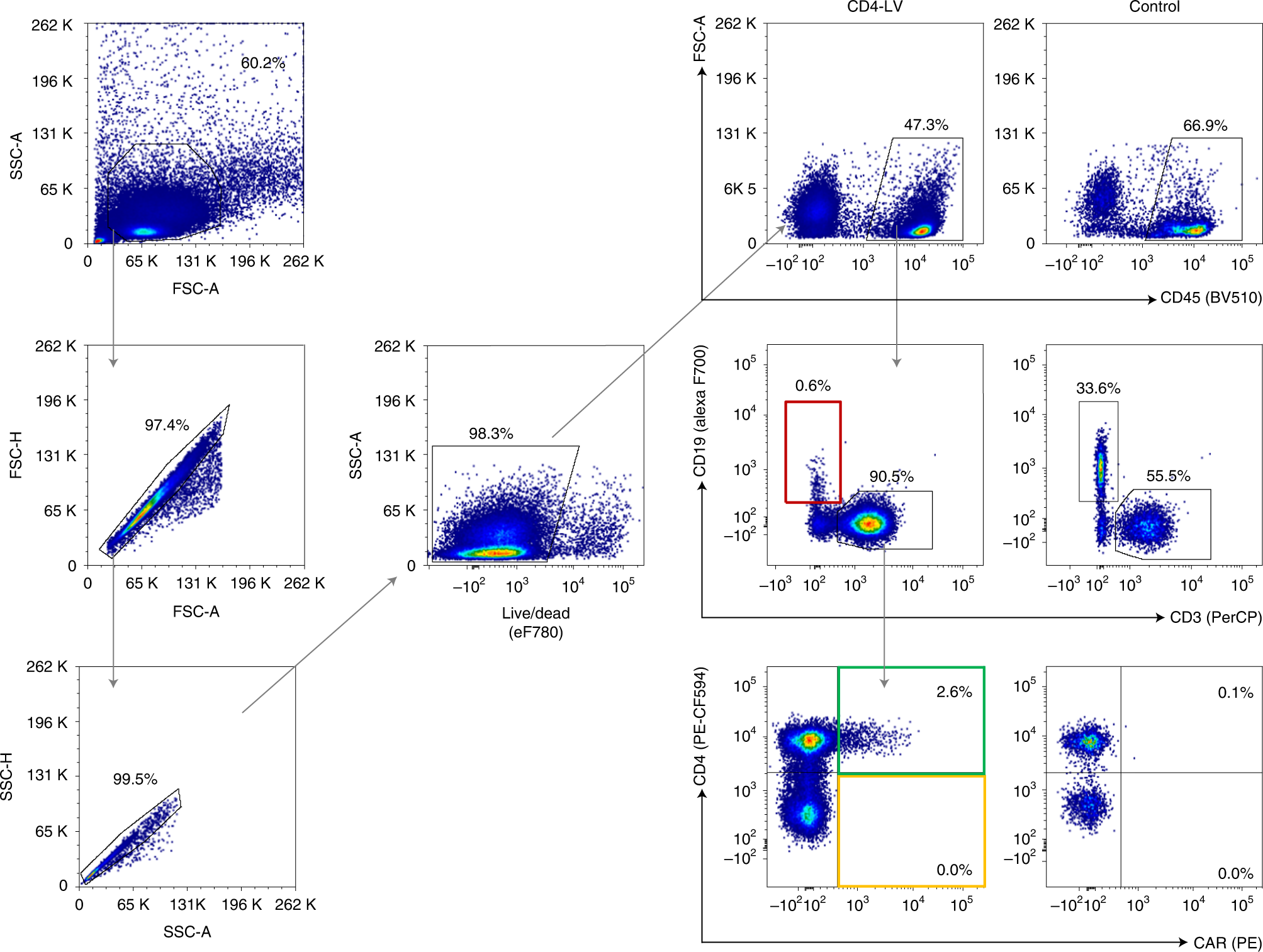 Fig. 6: Detection of in vivo–generated CAR T cells by flow cytometry.