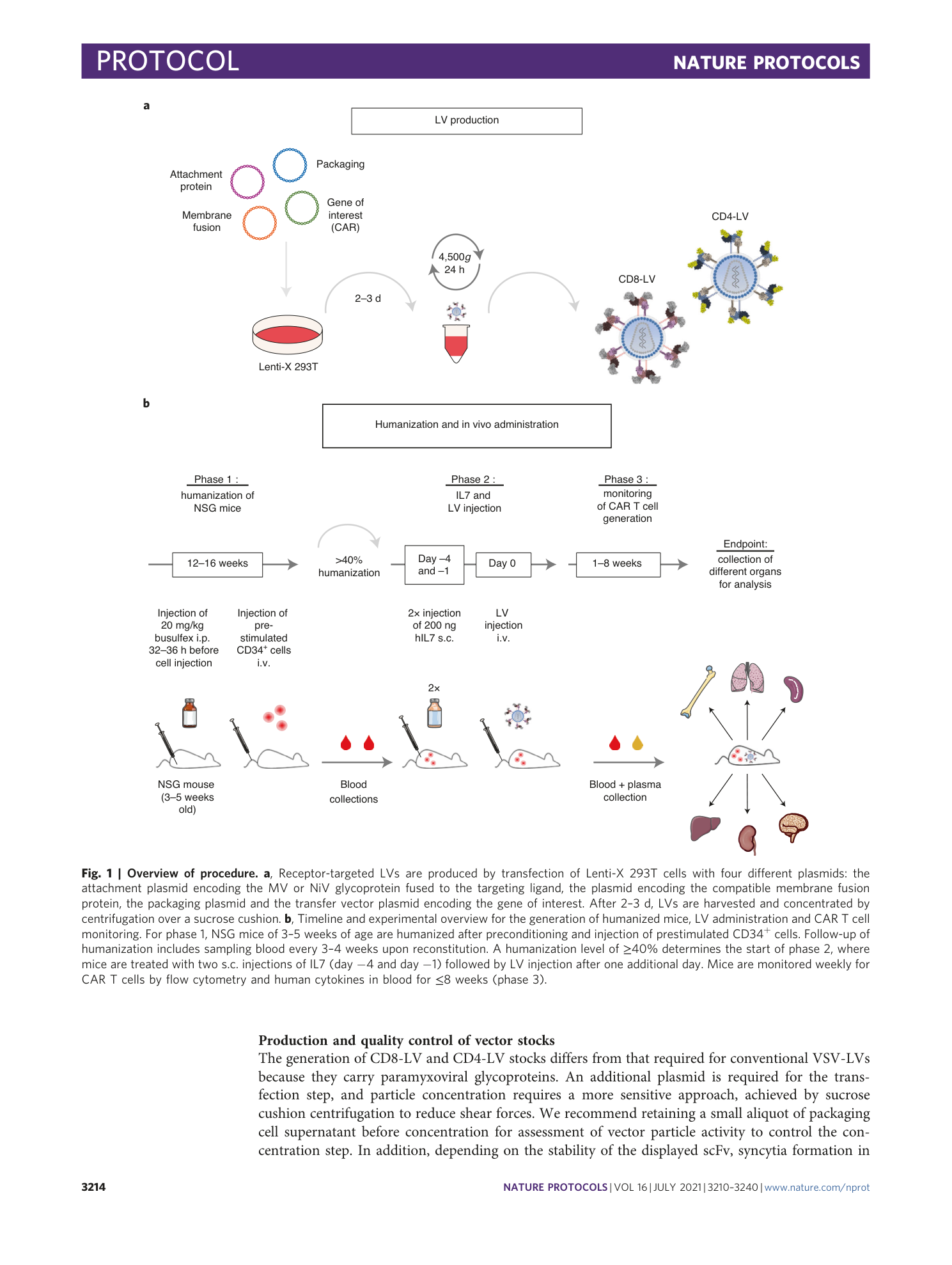 page-5
