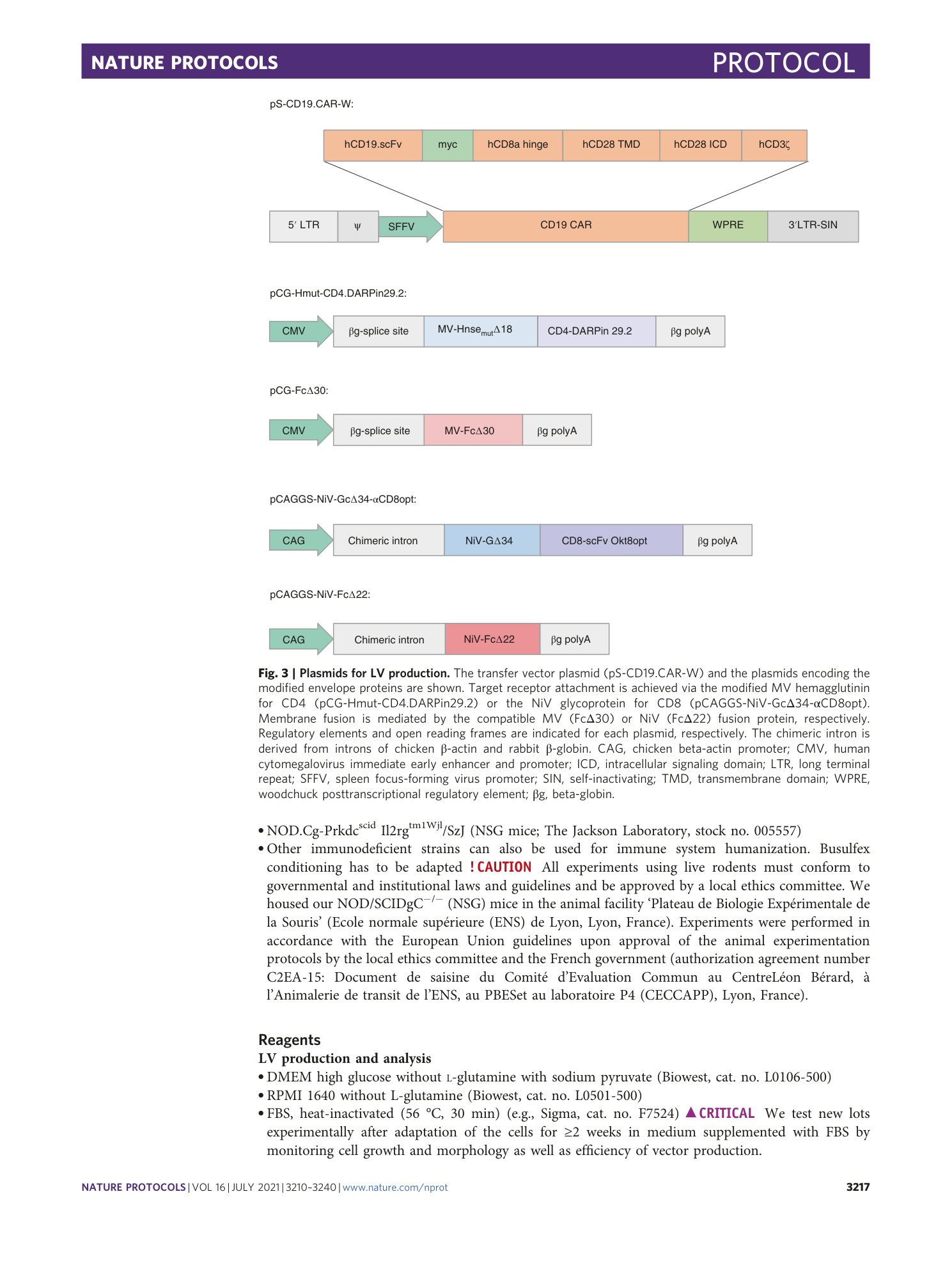 page-8