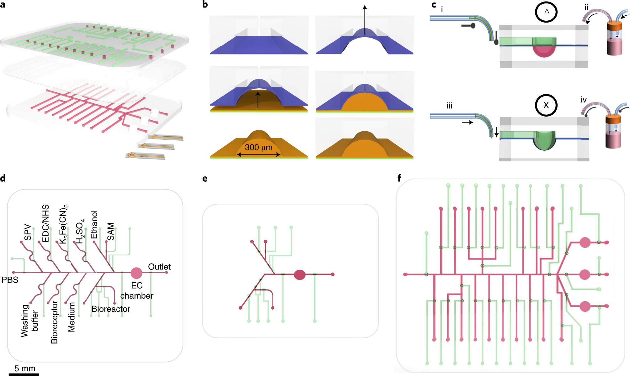 Fig. 3: Assembly and valve configuration of microfluidic EC affinity-based biosensor chips (see Supplementary Data 1 for designs).