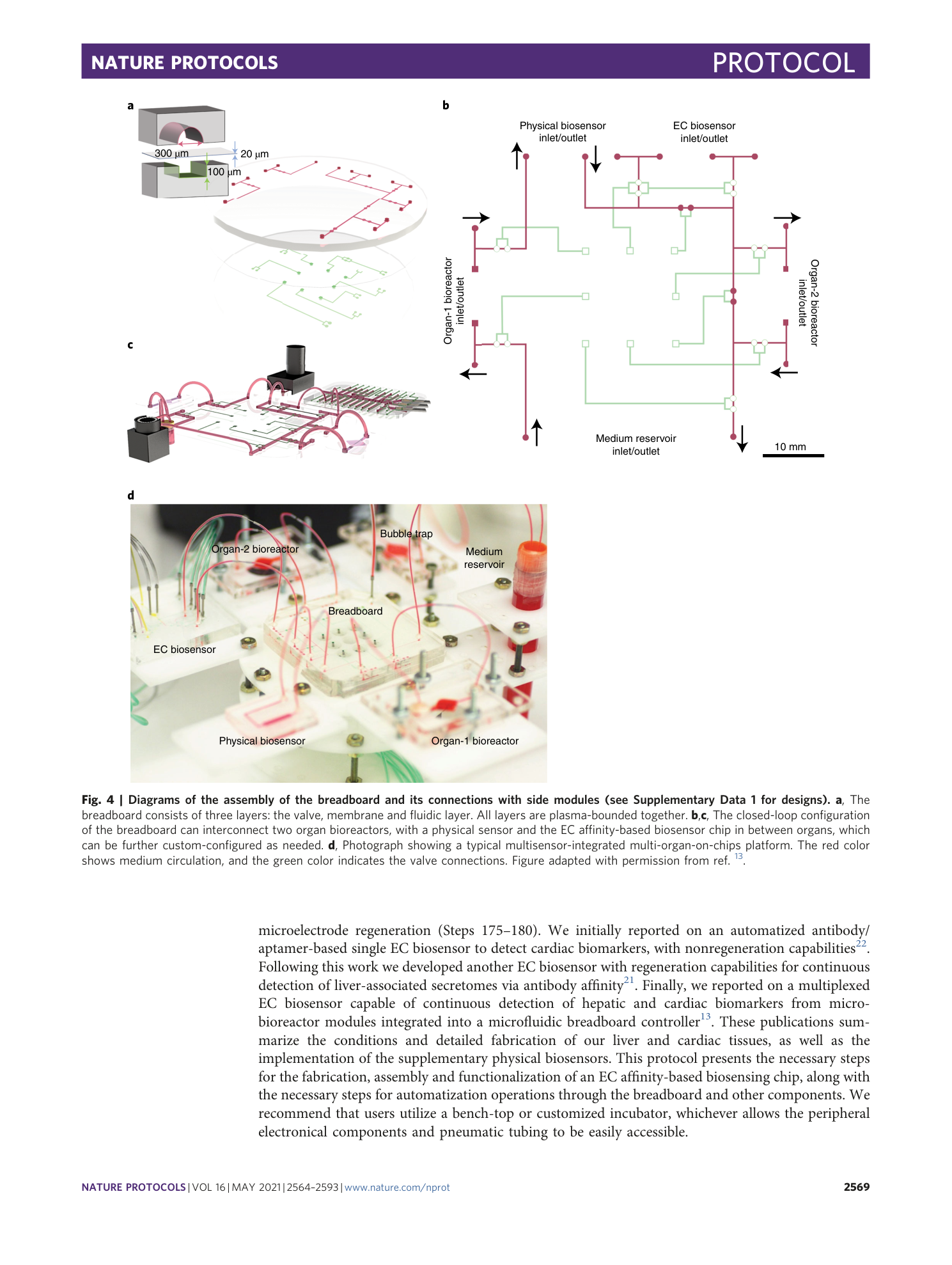 page-6