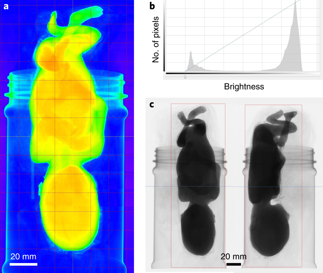 Fig. 7: Positioning and image parameters.