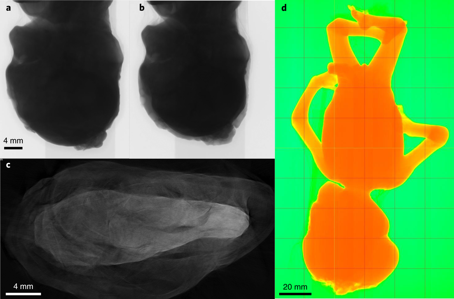 Fig. 8: Examples of issues occurring during micro-CT scanning that require optimization of the workflow.
