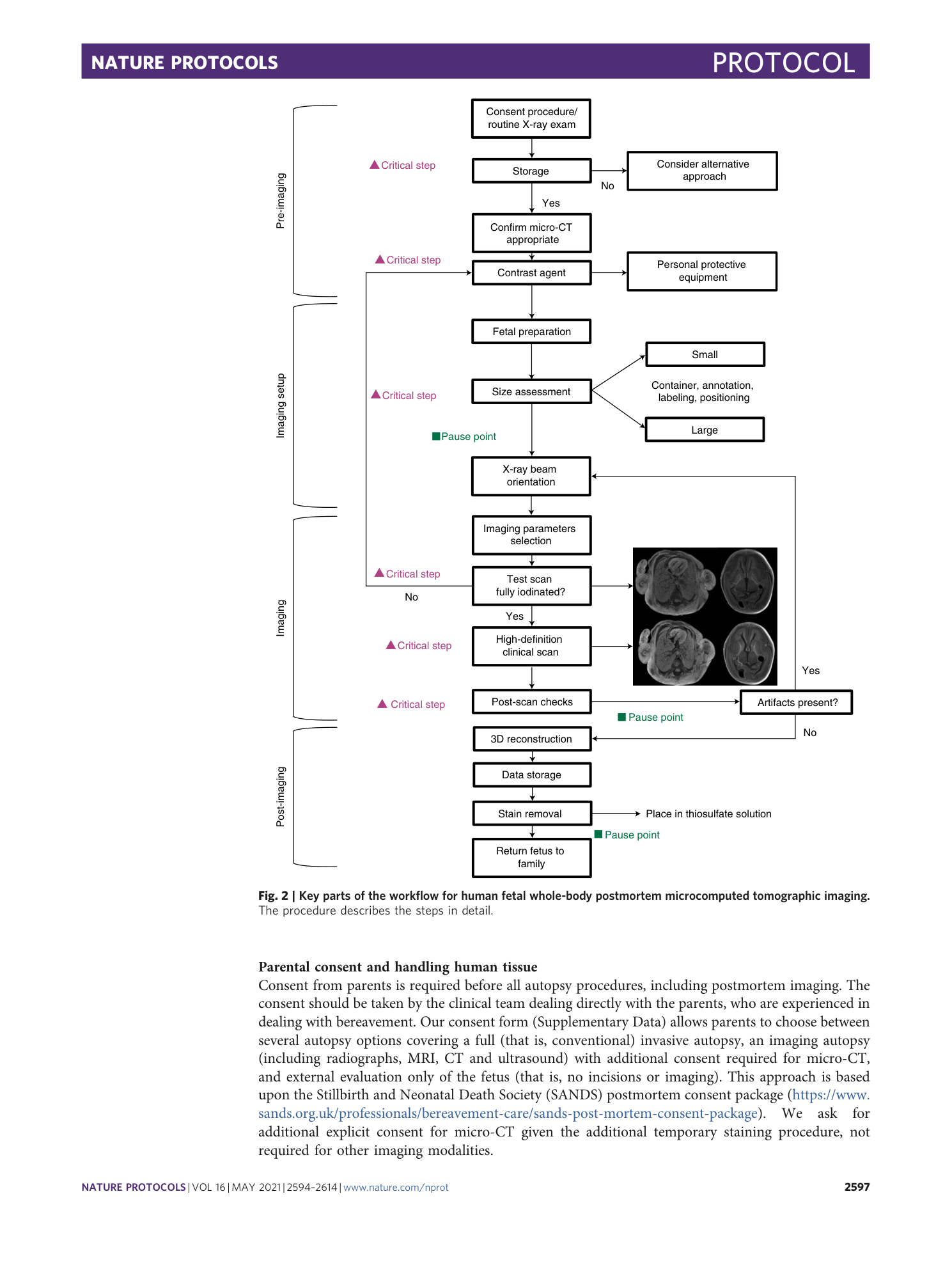 page-4