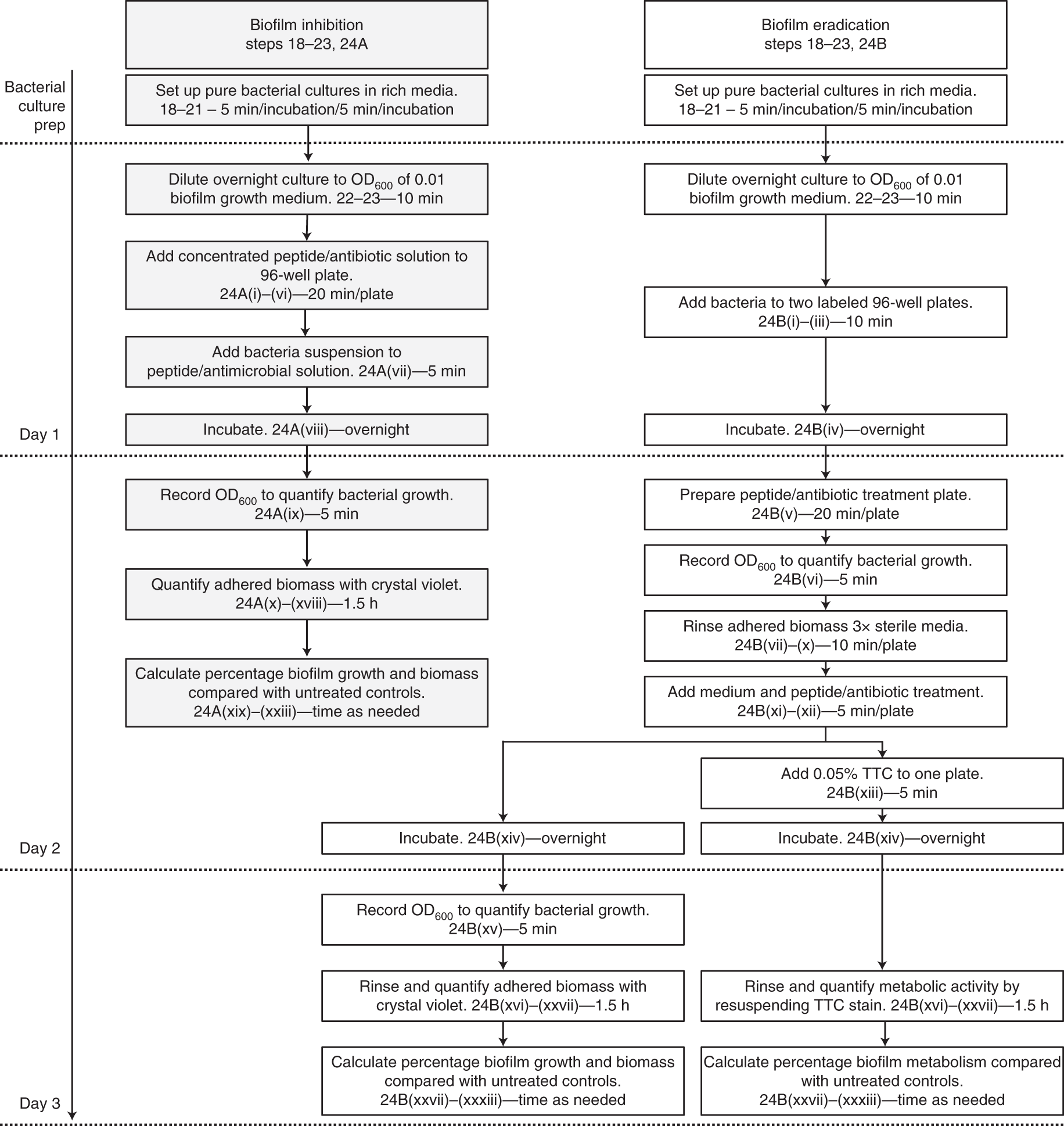 Fig. 1: Workflow and timeline estimates for the biofilm inhibition (gray boxes) and eradication (white boxes) assays for testing the antibiofilm effects of antibiotics and HDPs.