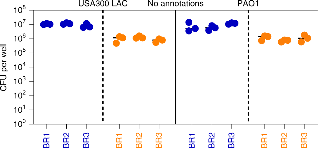 Fig. 4: Biofilm CFUs recovery for P. aeruginosa PAO1 and S. aureus USA300 LAC biofilms.
