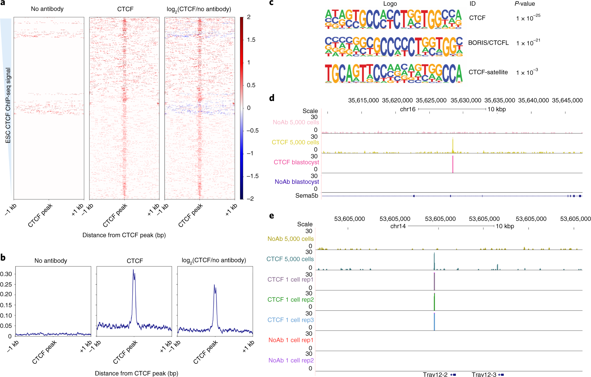 Fig. 6: Expected results for CTCF blastocyst or single-cell uliCUT&RUN.