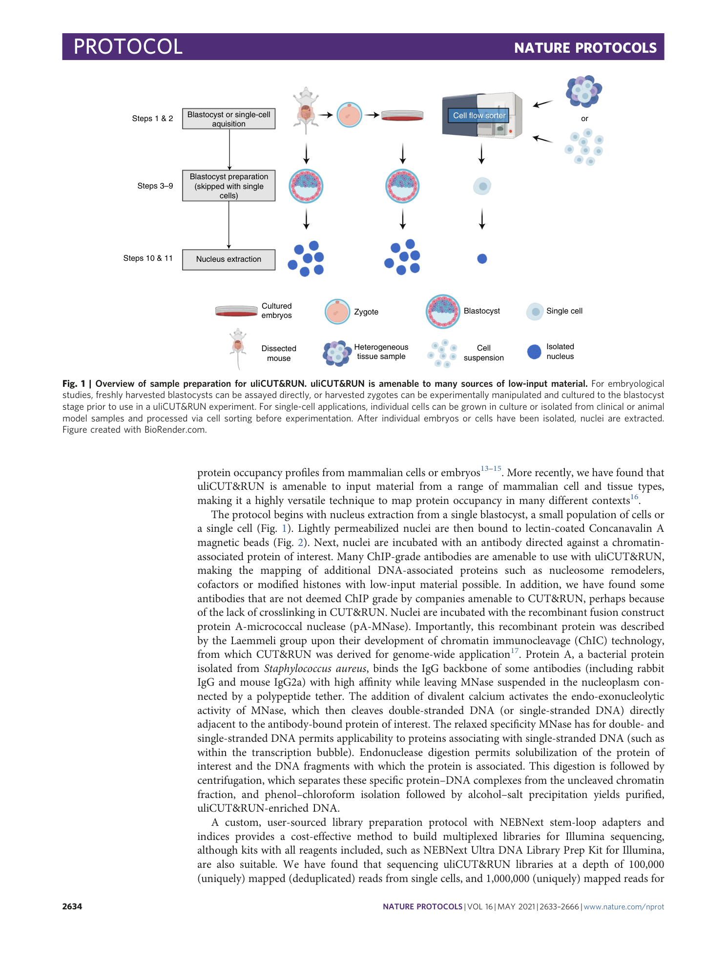 page-2