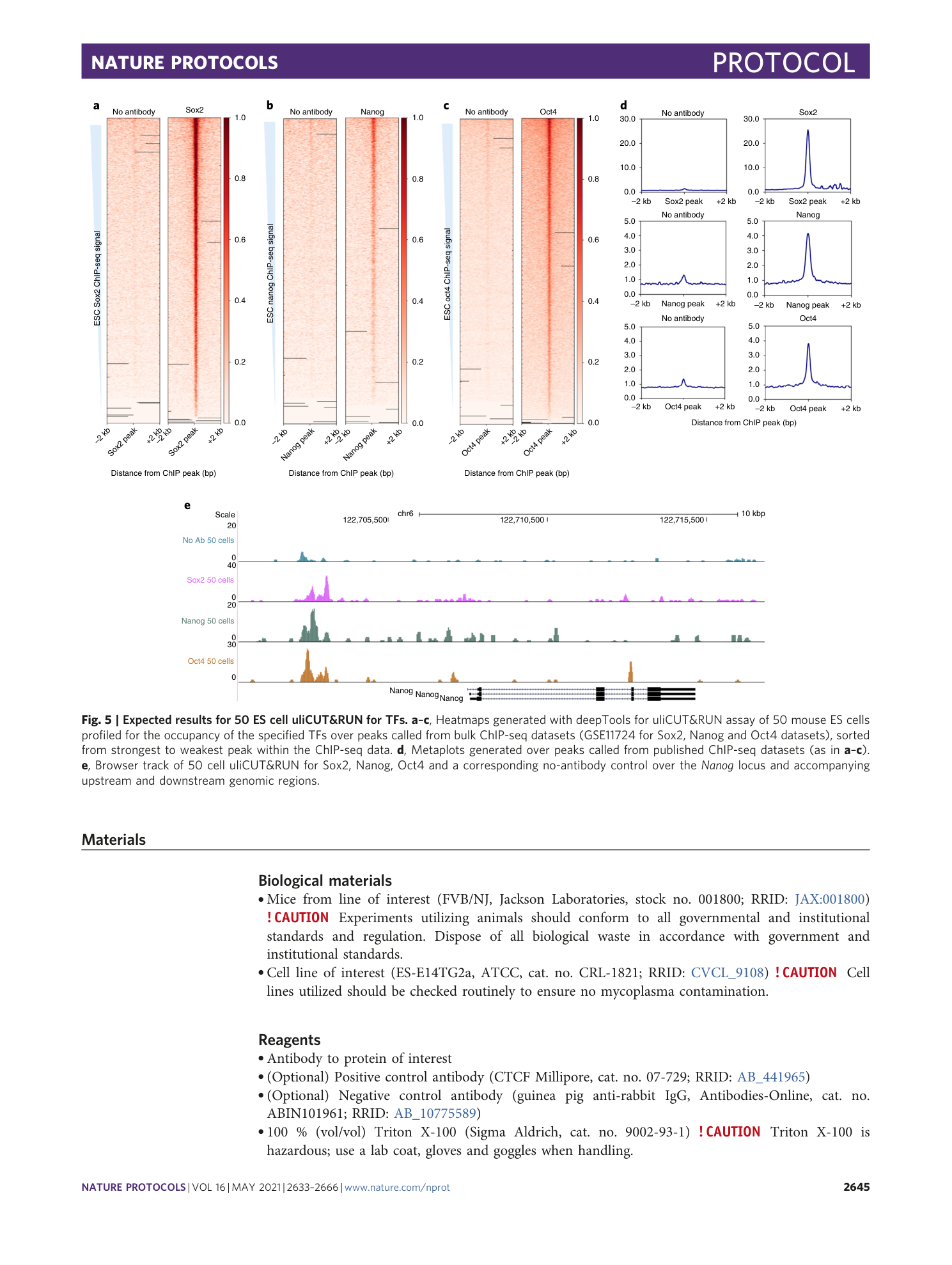 page-13