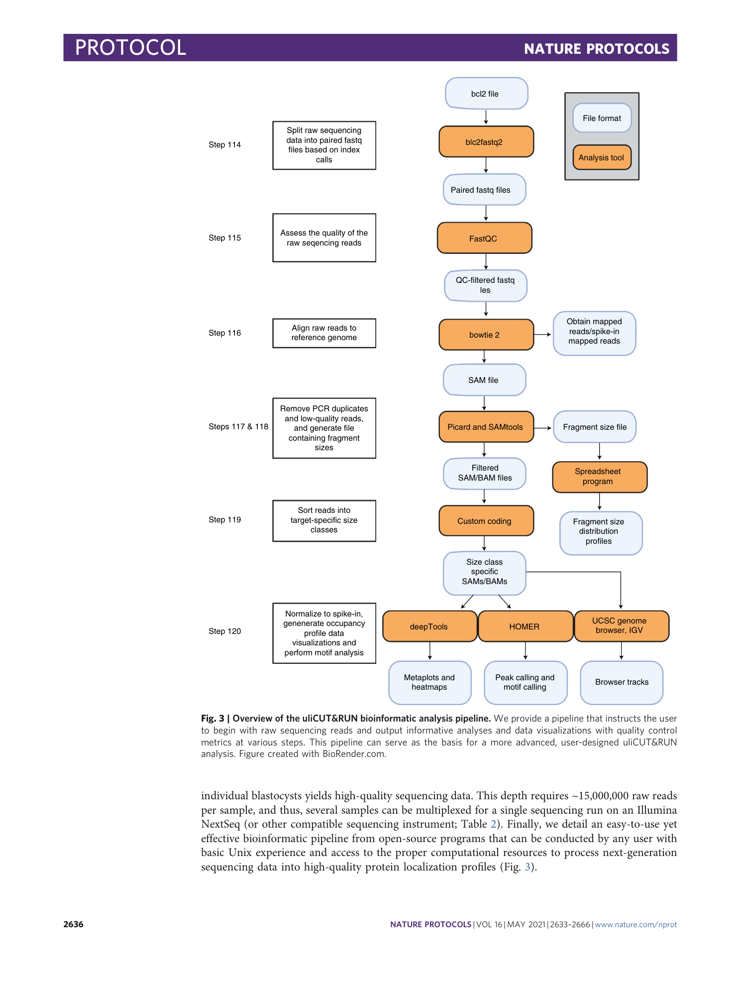 page-4