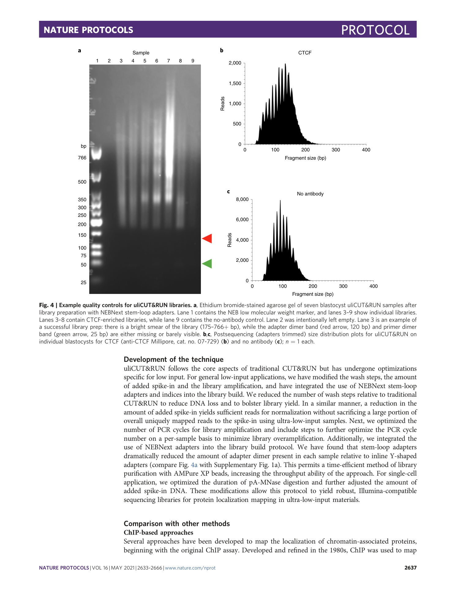 page-5