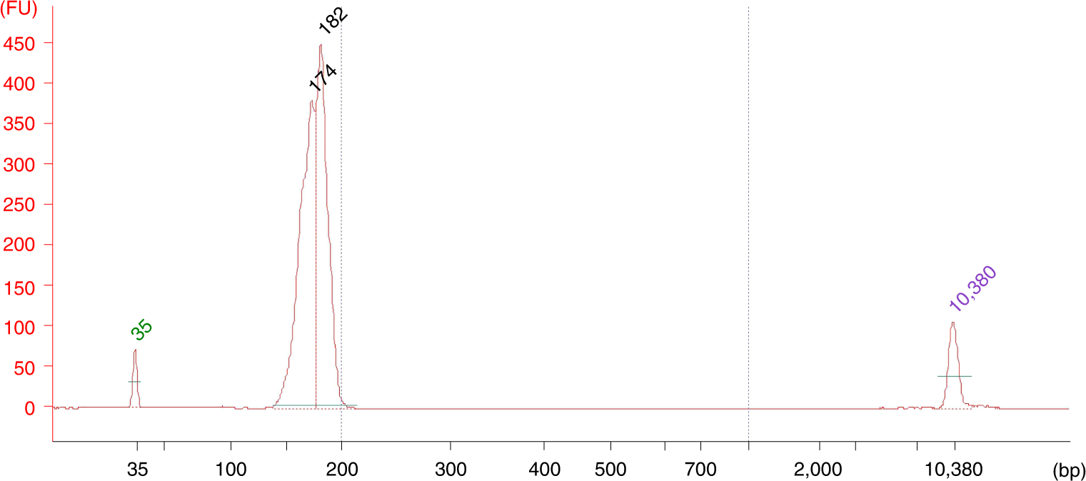 Fig. 6: A typical result of a MitoRiboSeq library quality control assessment using the high sensitivity DNA assay on an Agilent 2100 Bioanalyzer.