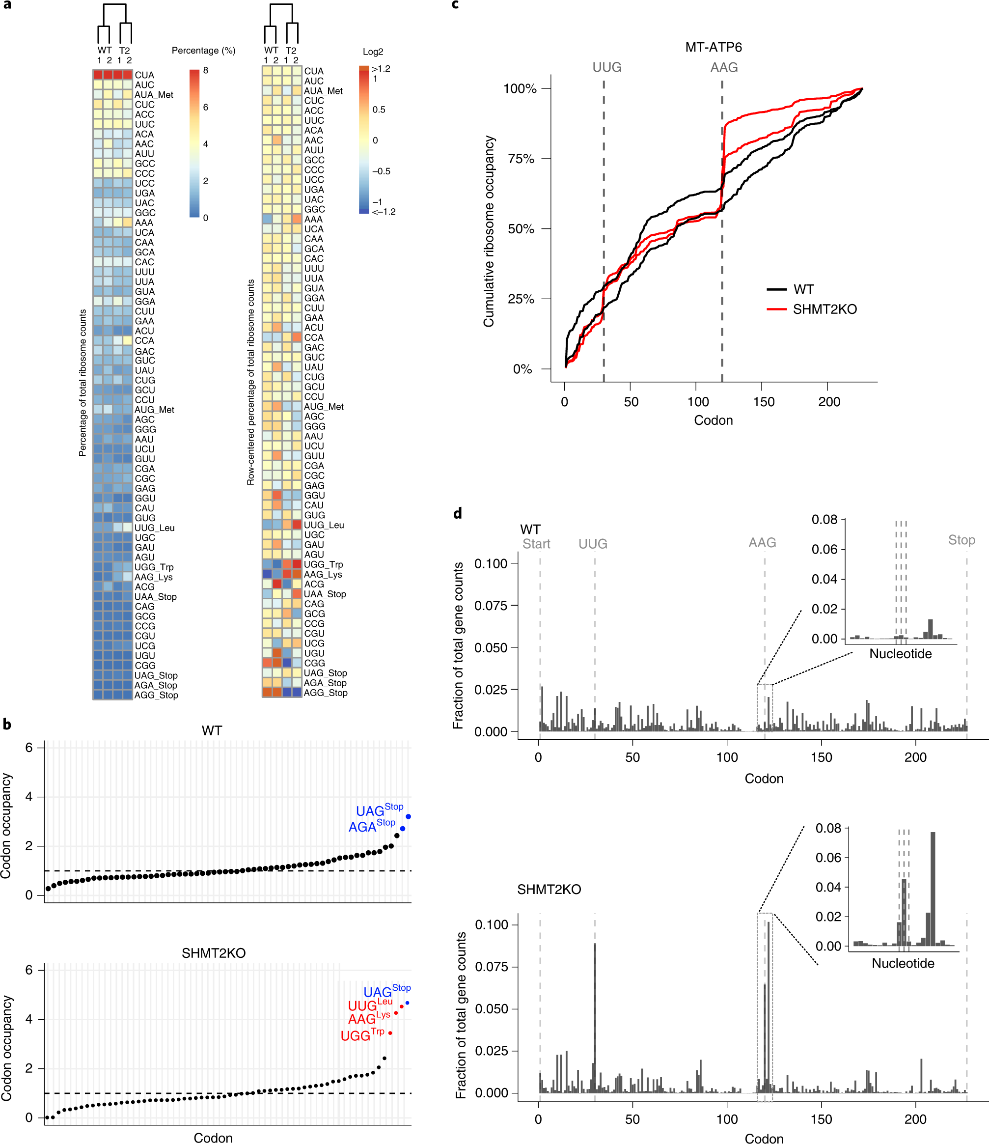 Fig. 7: Typical analysis results of MitoRiboSeq from HCT116 cells in wild type (WT) and SHMT2 KO mutant.
