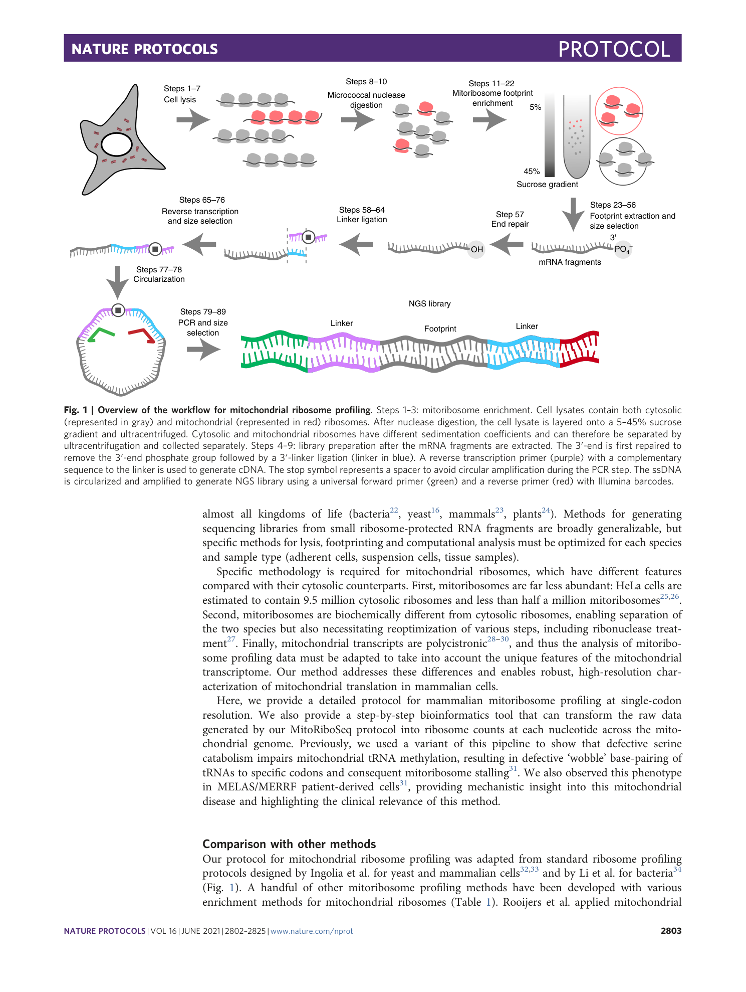 page-2