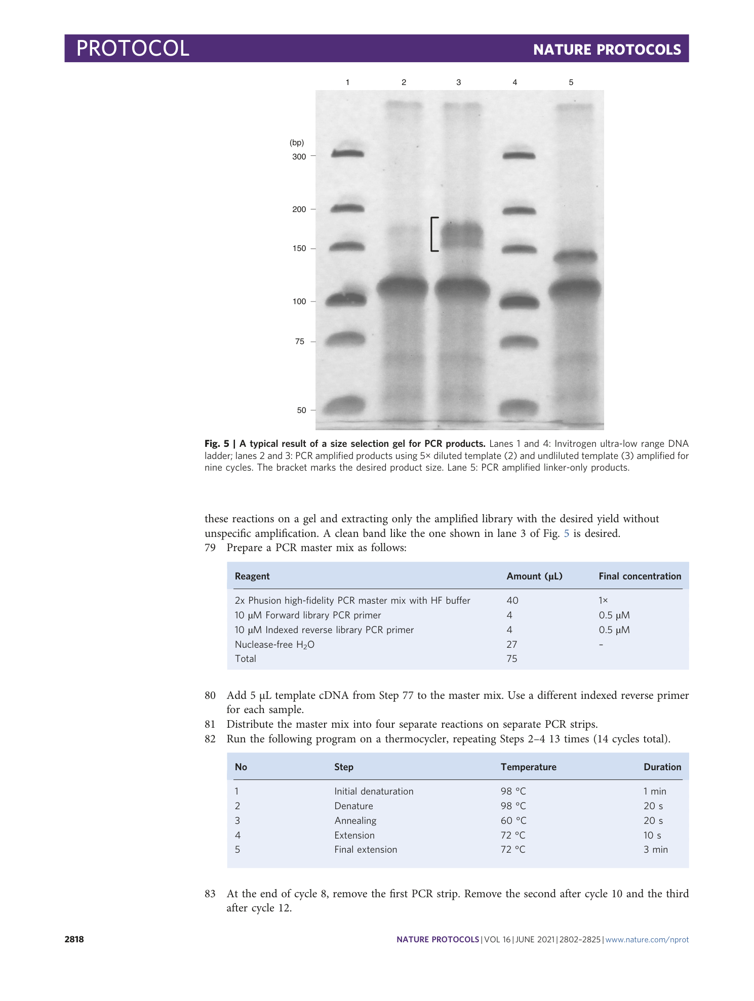 page-17