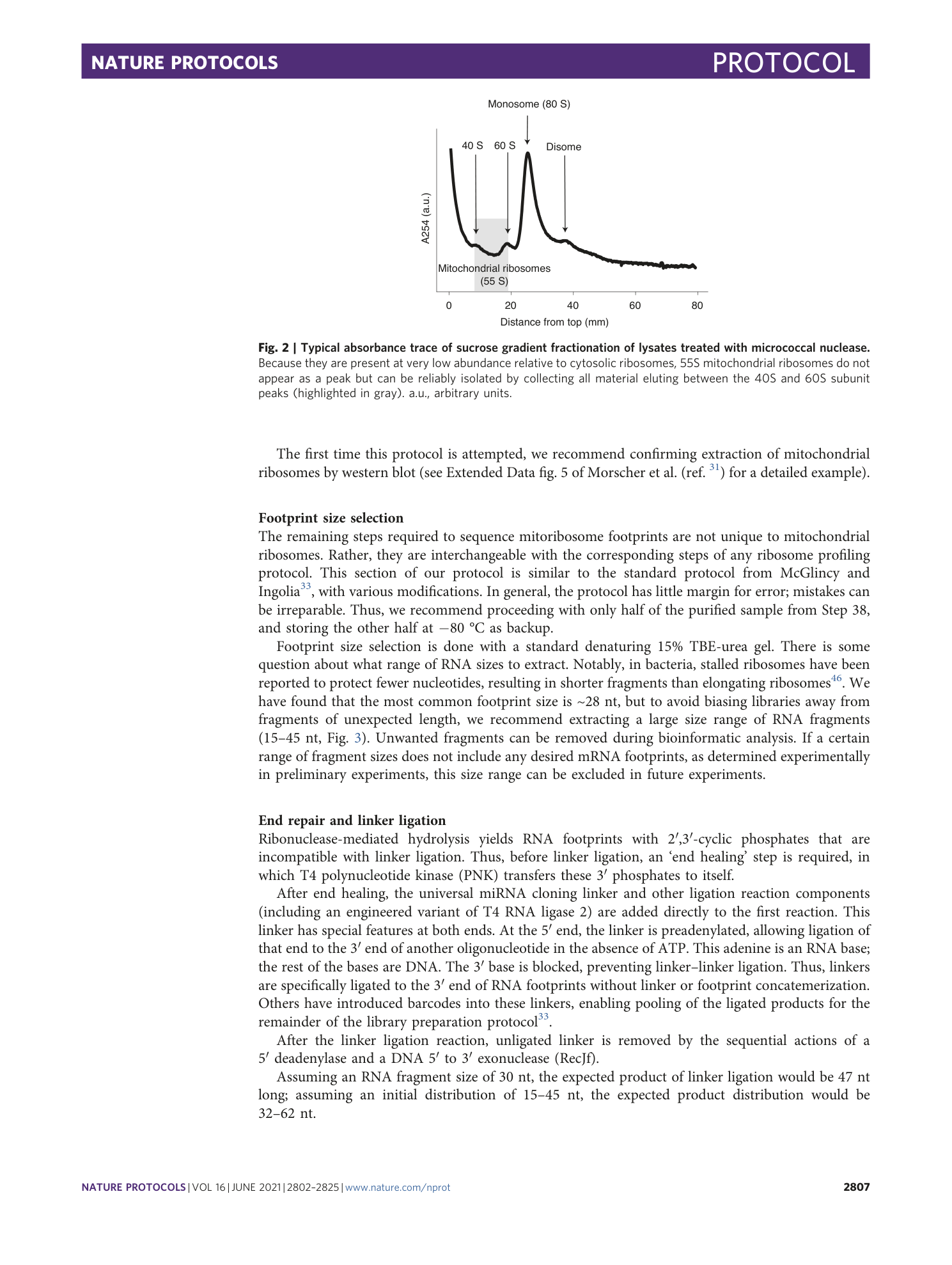 page-6