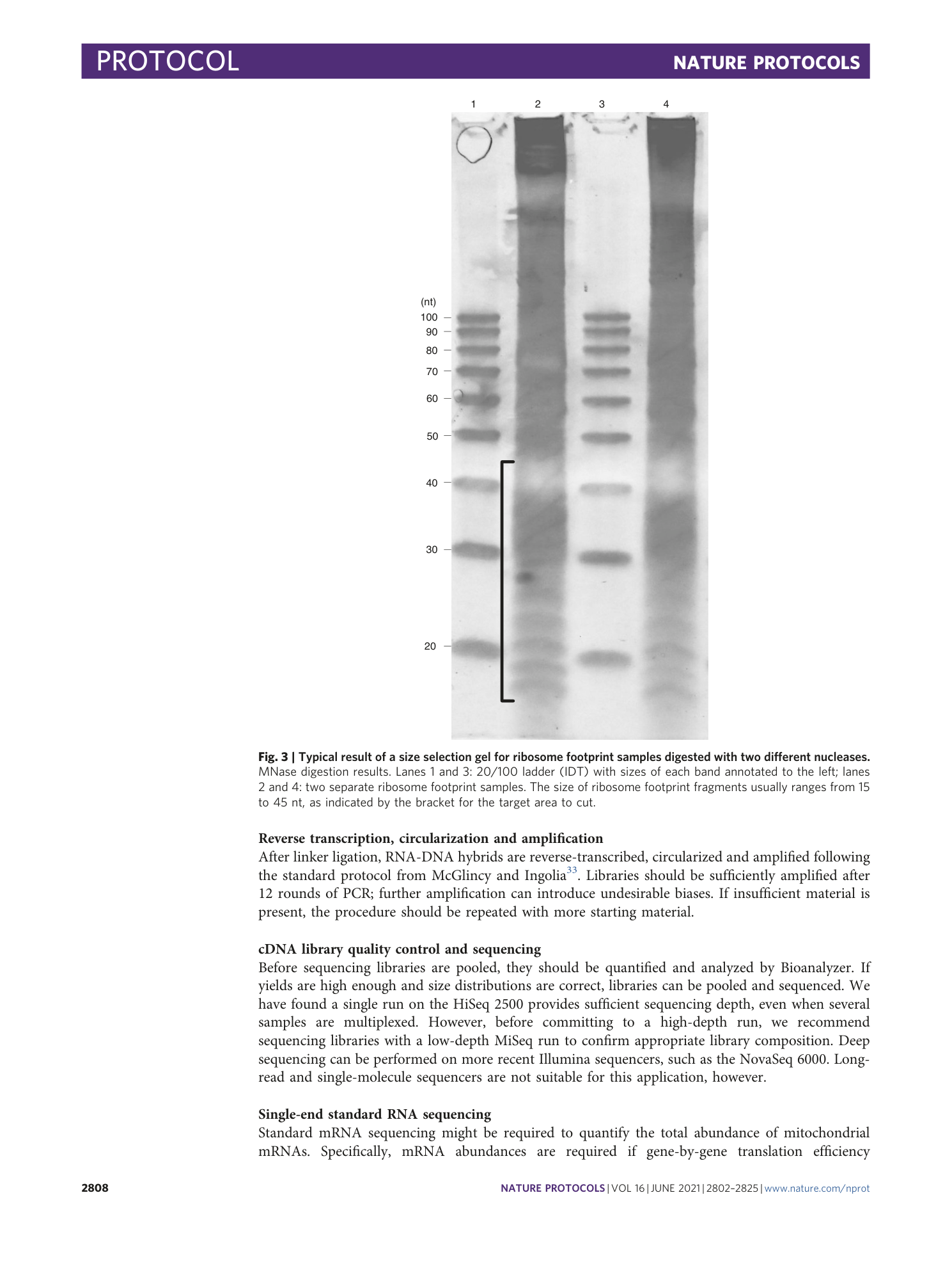 page-7