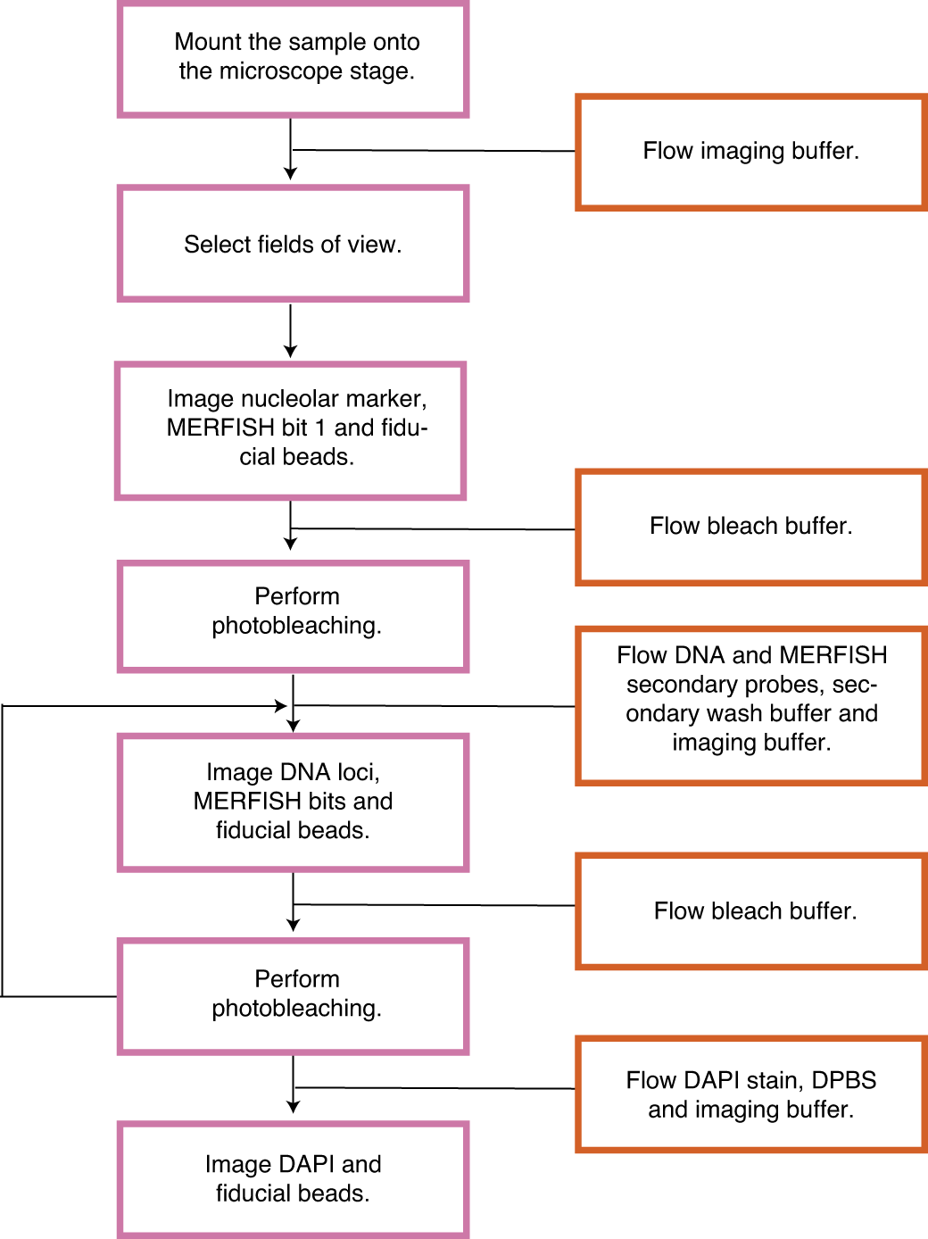 Fig. 4: Outline of MINA sequential hybridization and imaging.