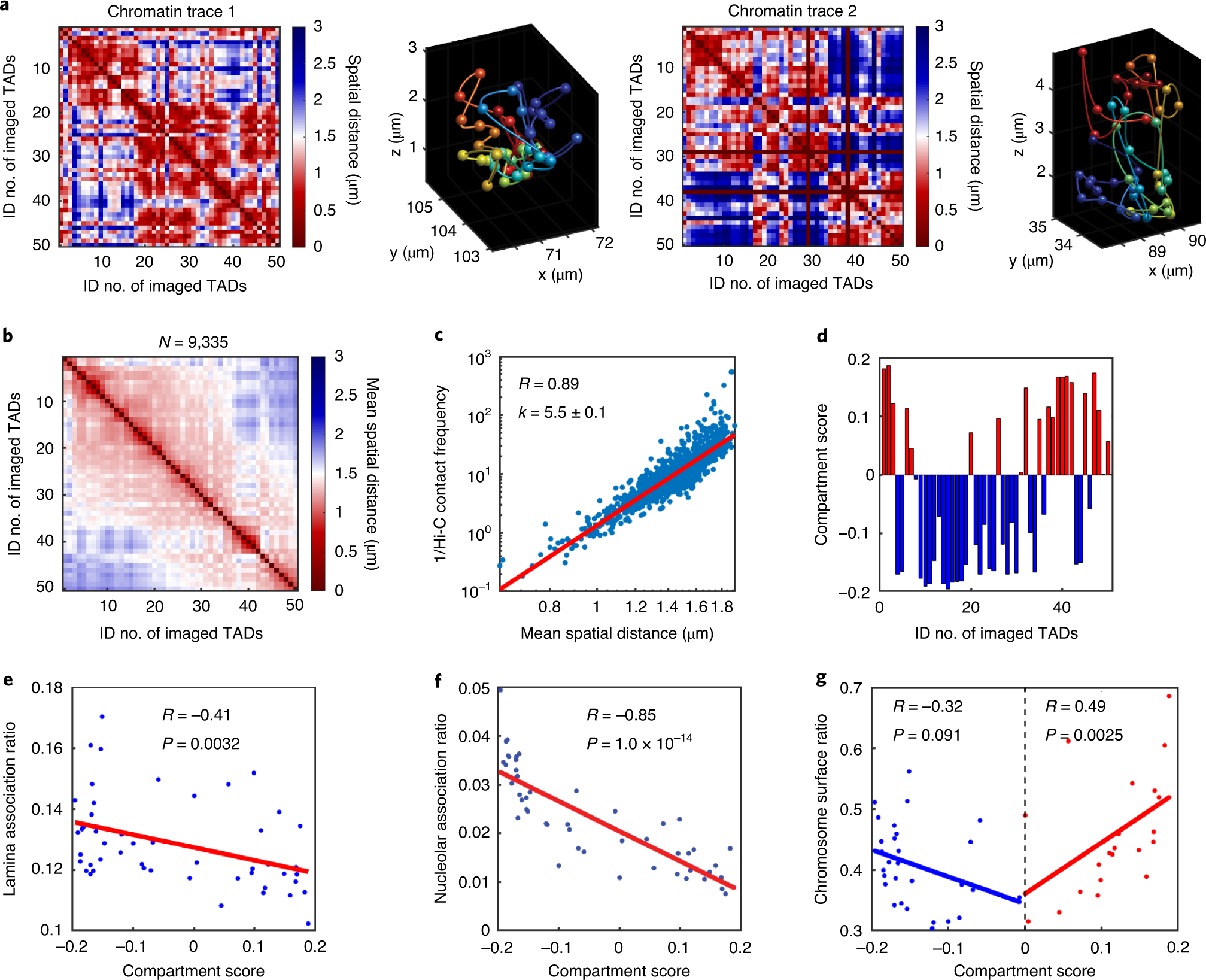 Fig. 7: Example results of single-copy and ensemble analyses of chromatin tracing.
