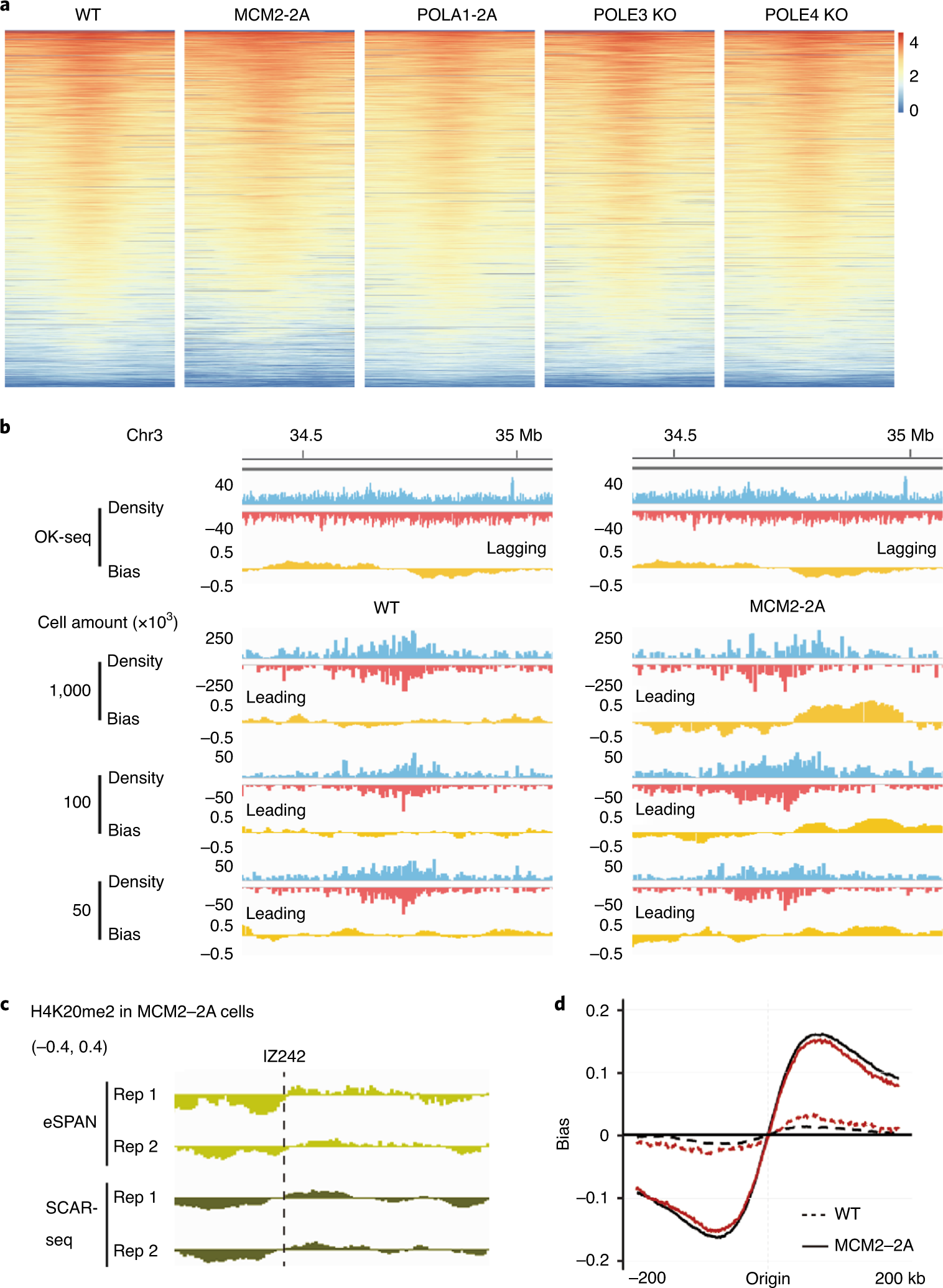 Fig. 4: eSPAN can detect asymmetric histone distribution at leading and lagging strands of DNA replication forks in both WT and mutant mouse ES cells.