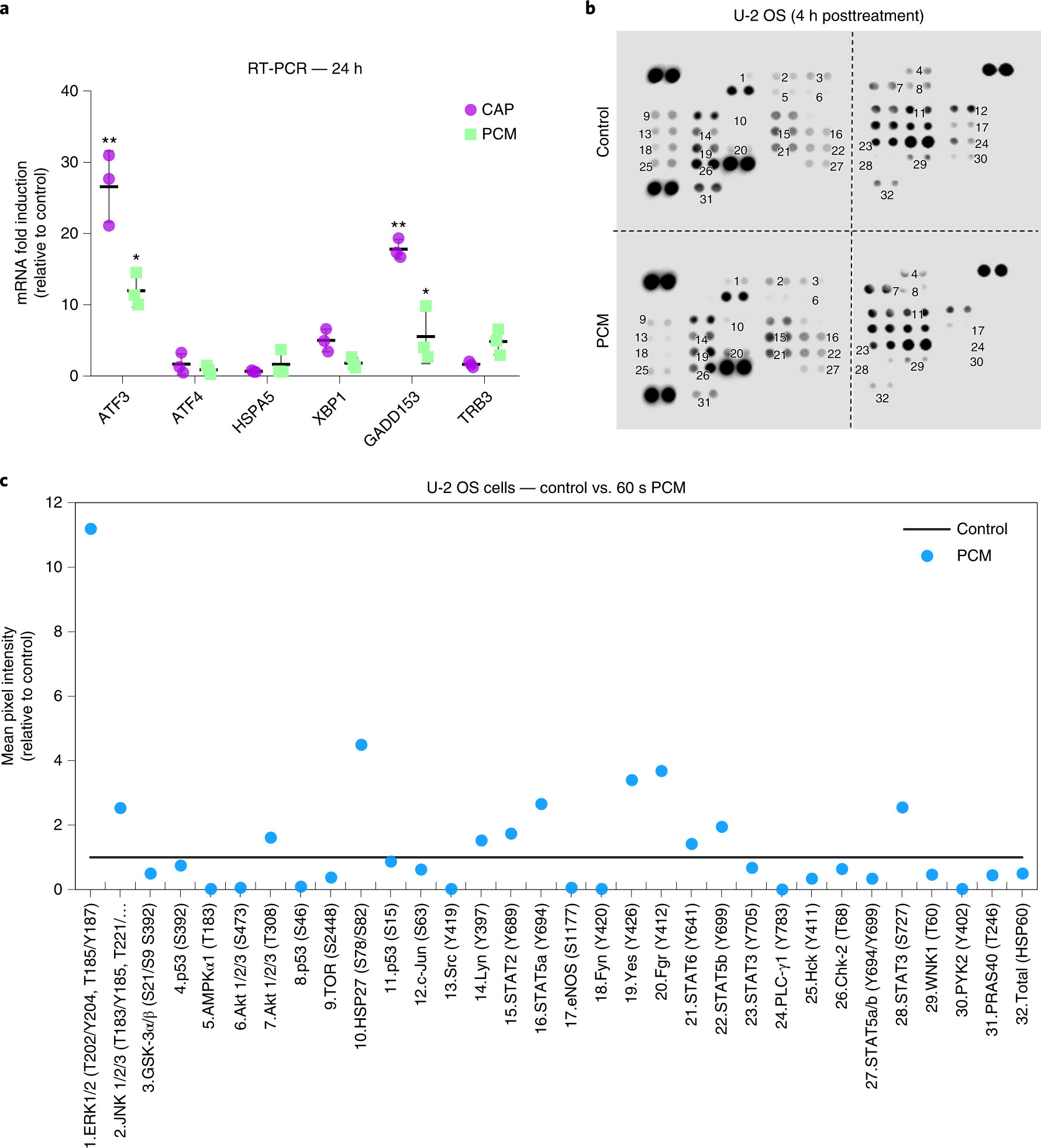 Fig. 10: Analysis of components known to be involved in cell signaling.