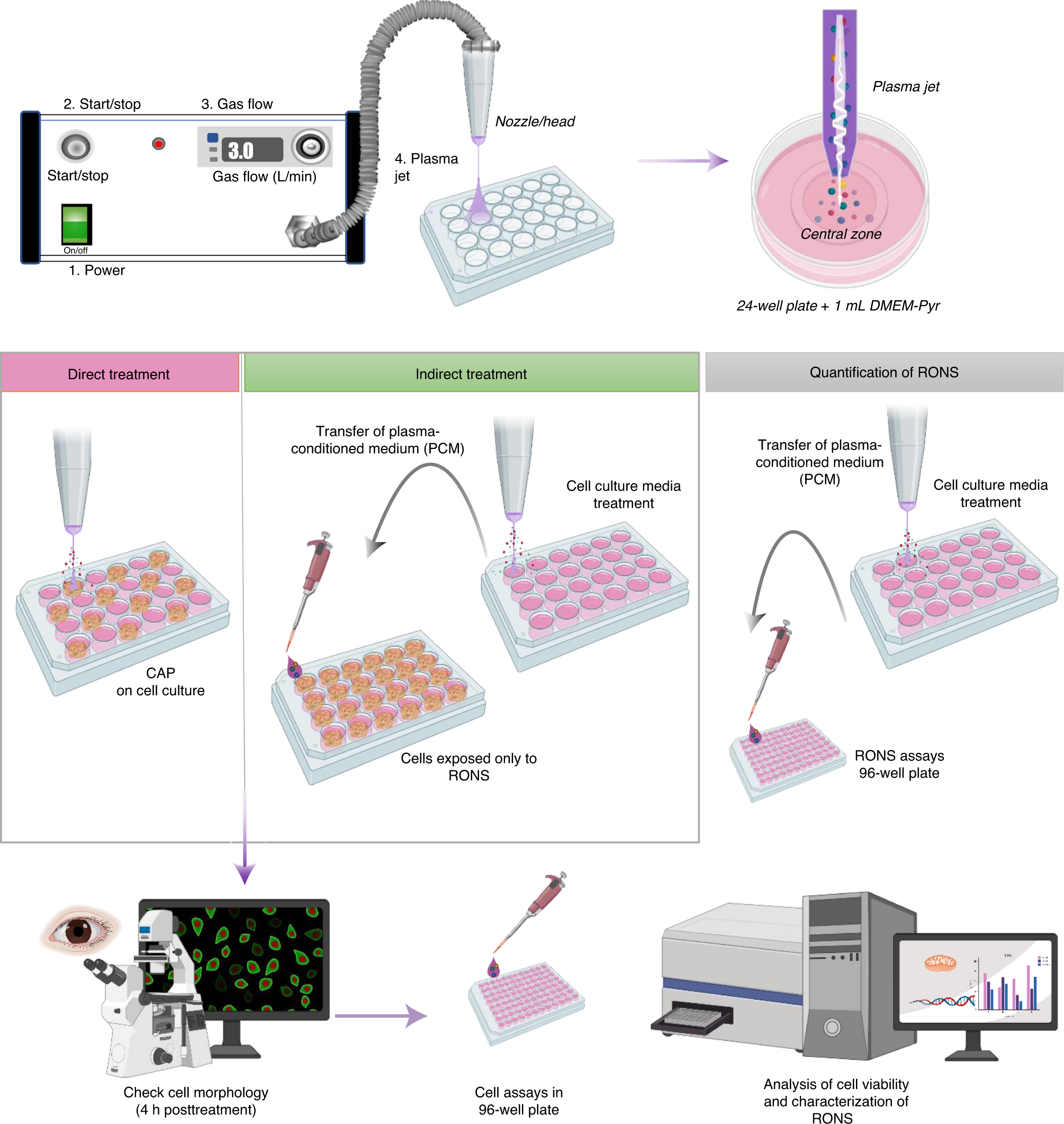 Fig. 1: Procedure overview.