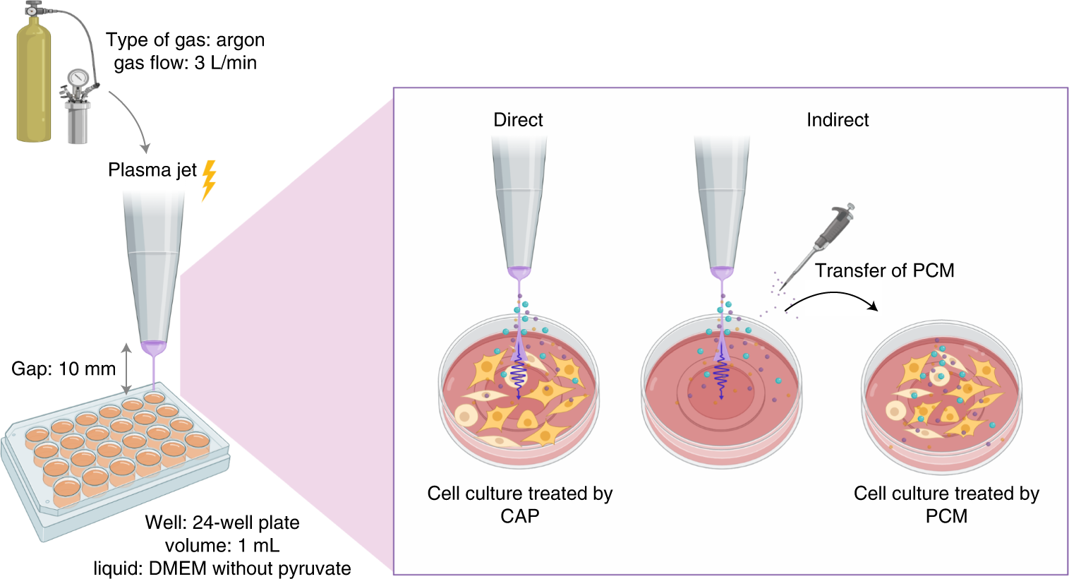 Fig. 2: Direct and indirect treatment can be performed in the same experimental setting.