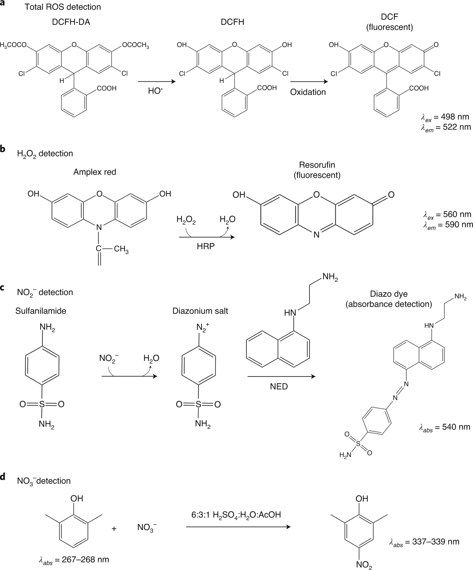 Fig. 3: Chemical reactions used to detect RONS described in this protocol.