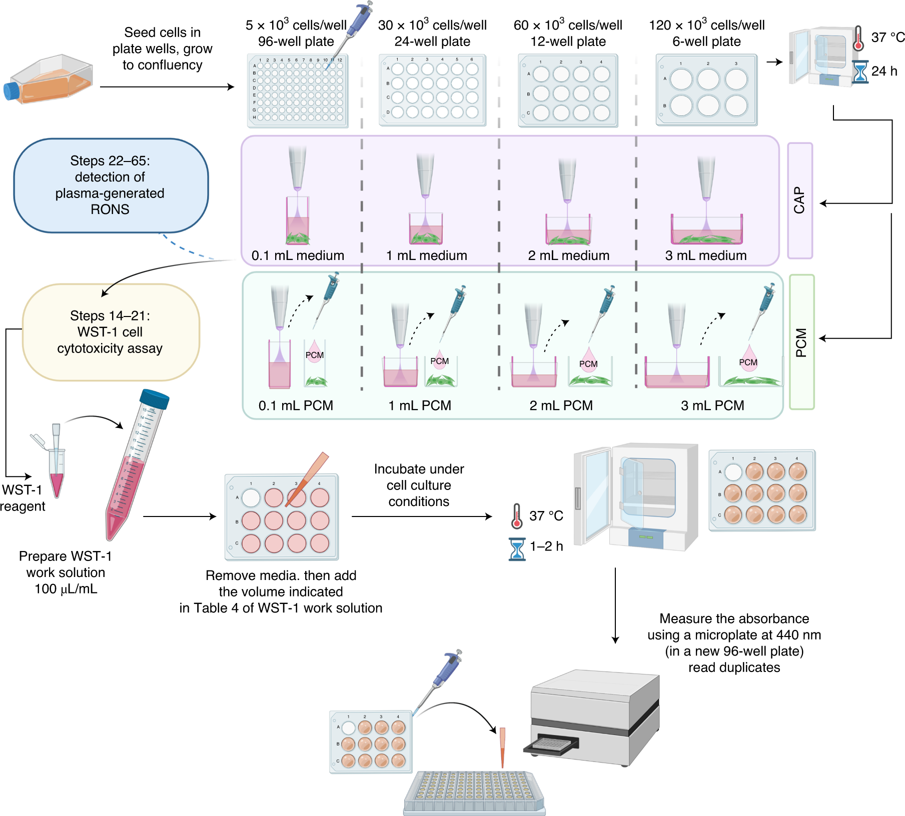 Fig. 4: Overview of how to use different sizes of dish for CAP and PCM treatments.