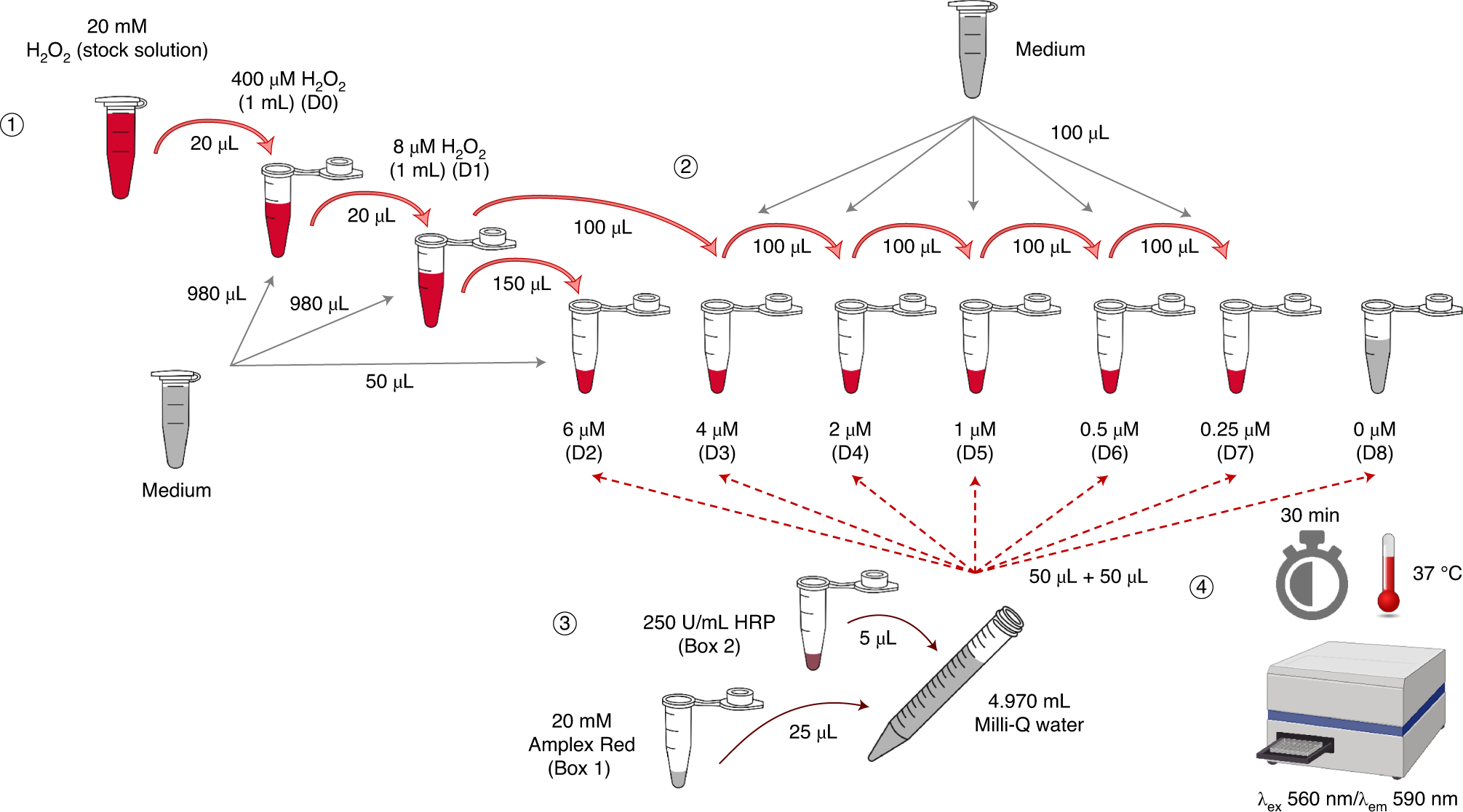 Fig. 5: Experimental steps to generate a calibration curve for detection of H2O2.