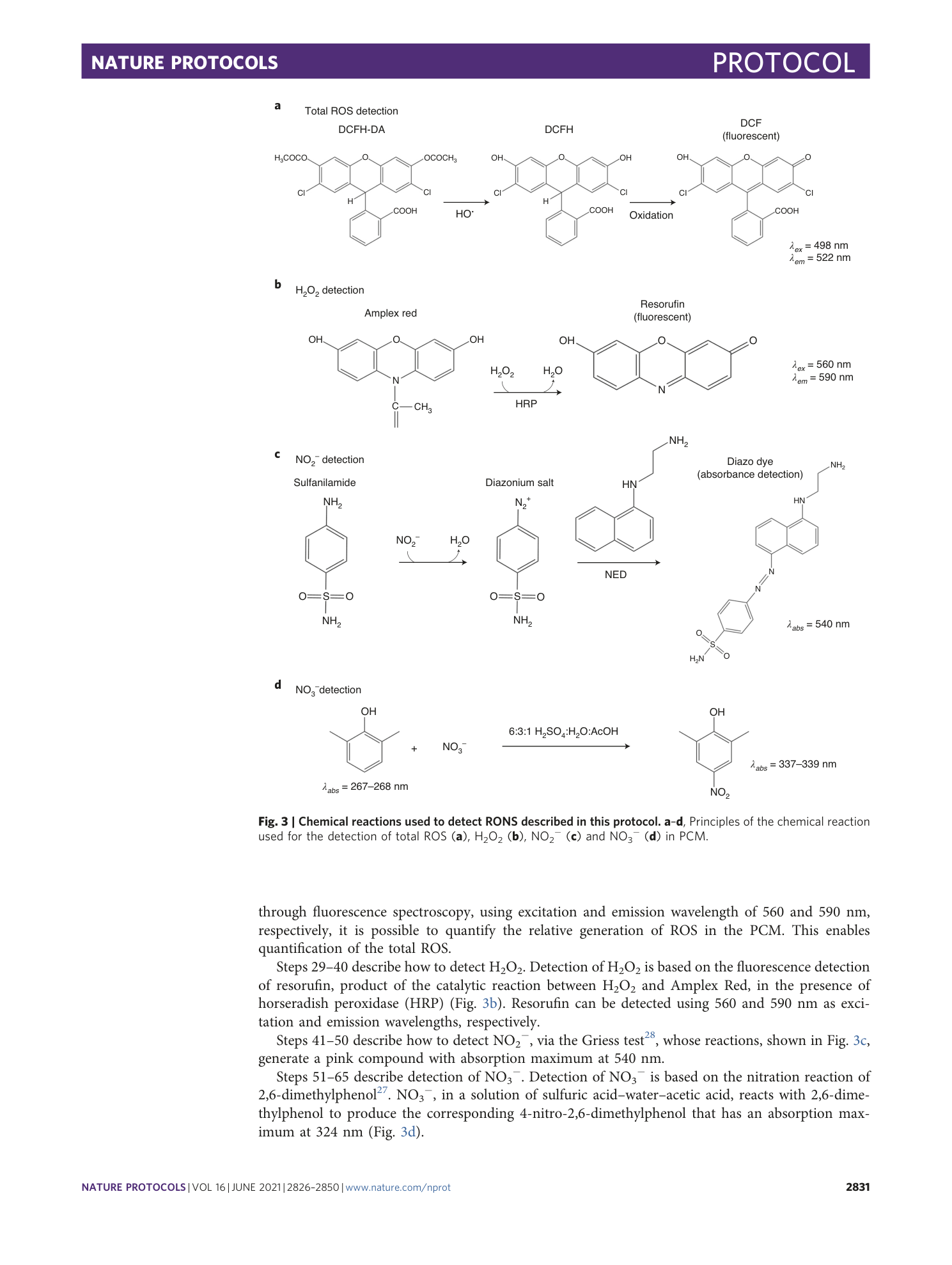 page-6