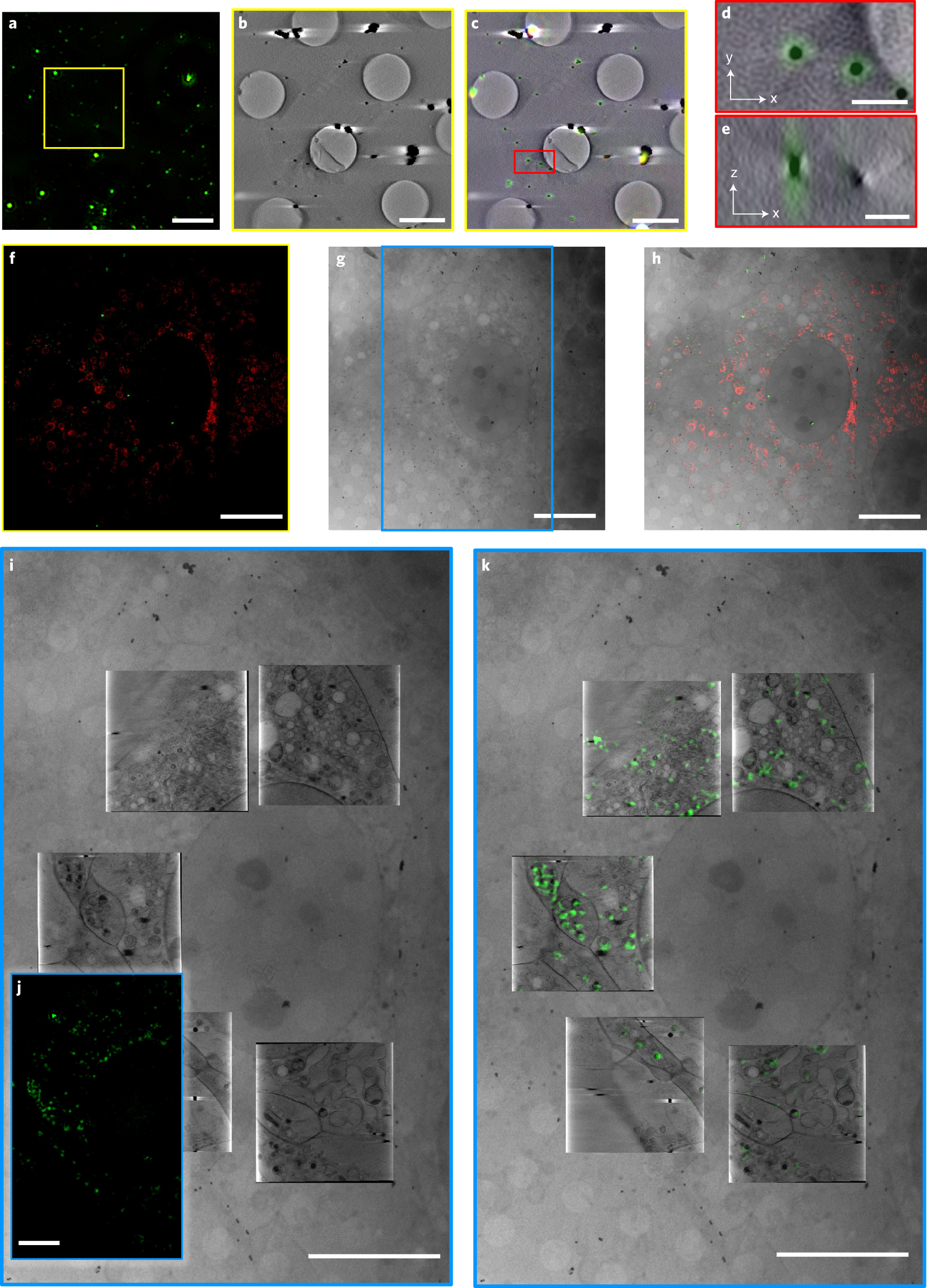 Fig. 9: Correlation of CLXT data with TetraSpeck microspheres.