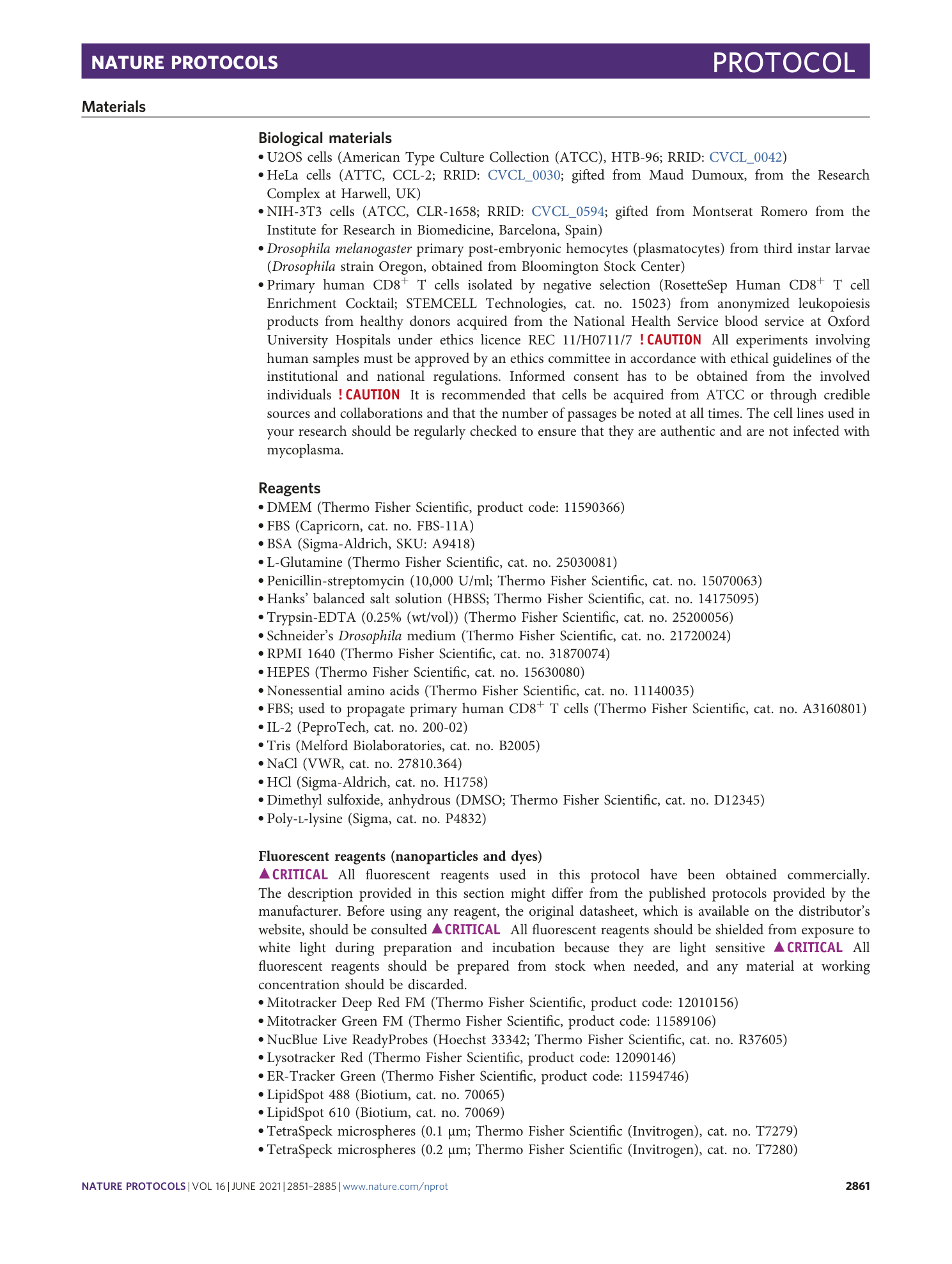 page-11