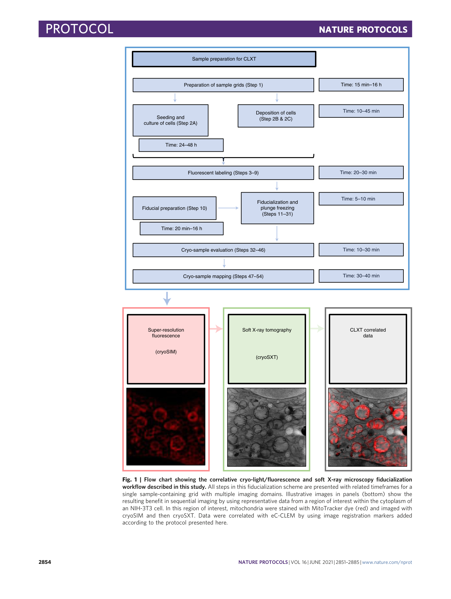 page-4