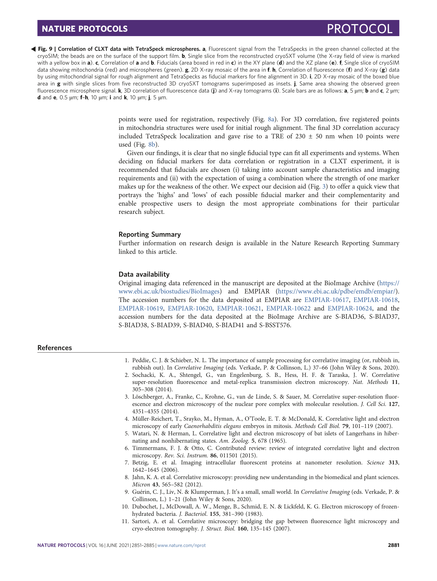 page-31