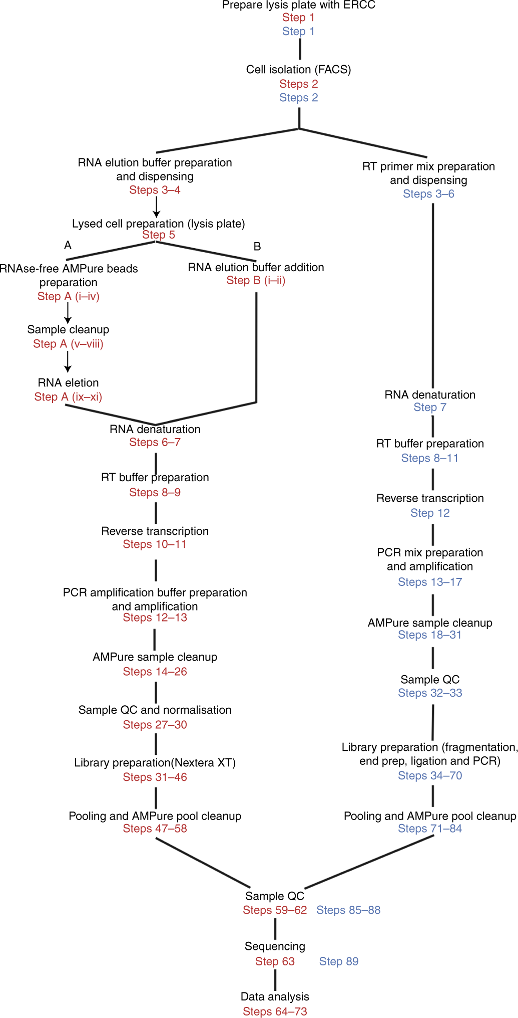 Fig. 1: Stepwise overview of plate-based single-cell RNA-seq methods.