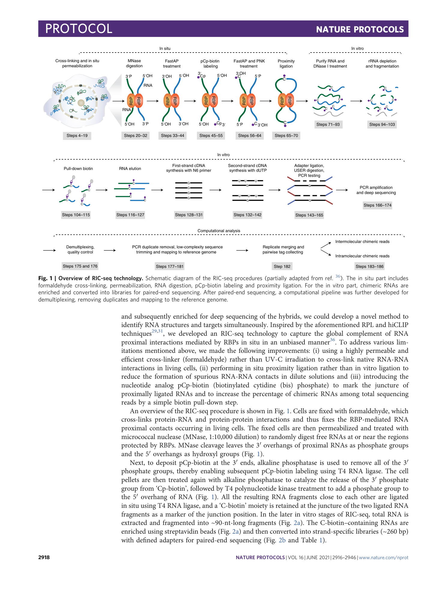 page-3