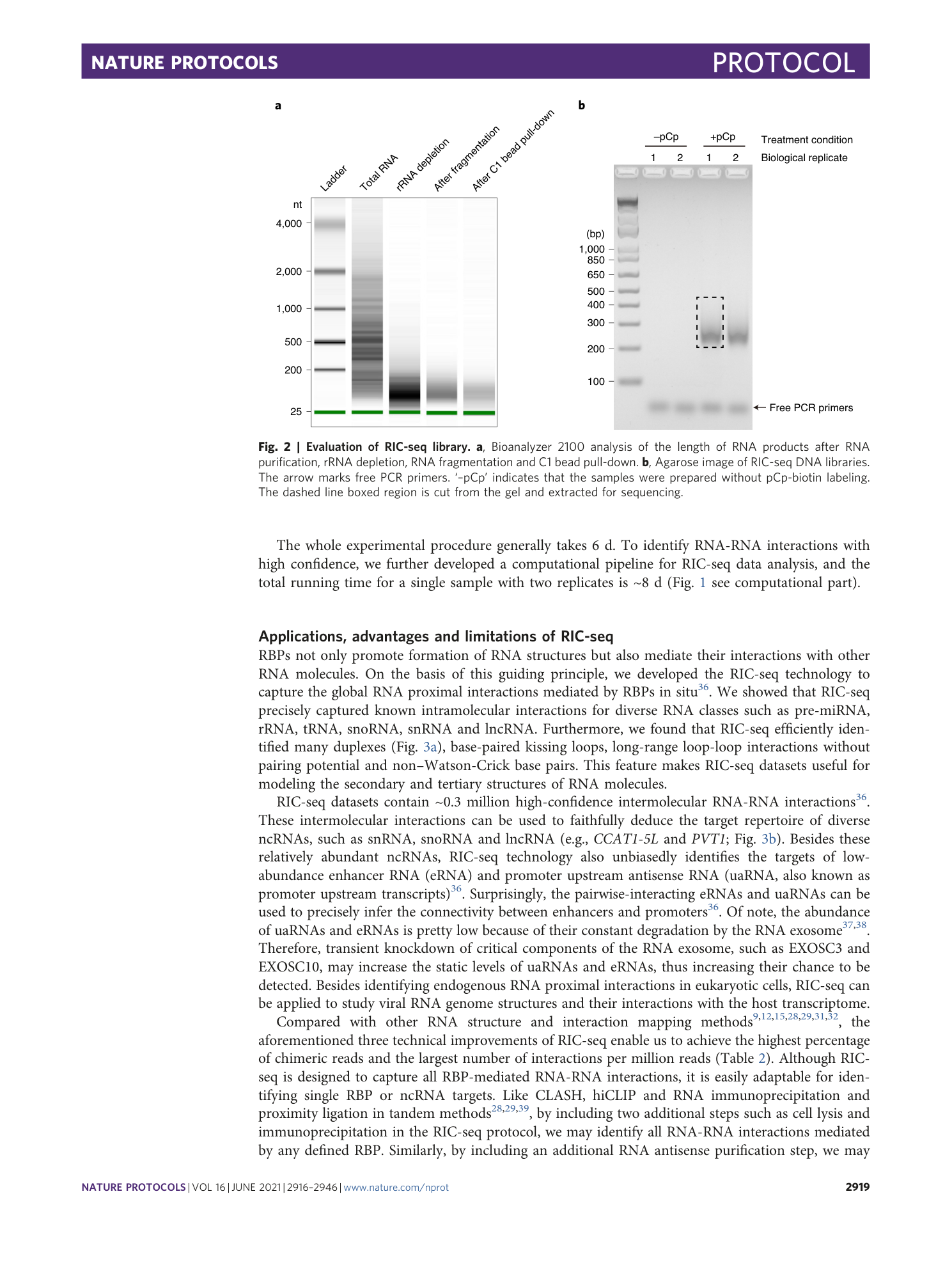 page-4