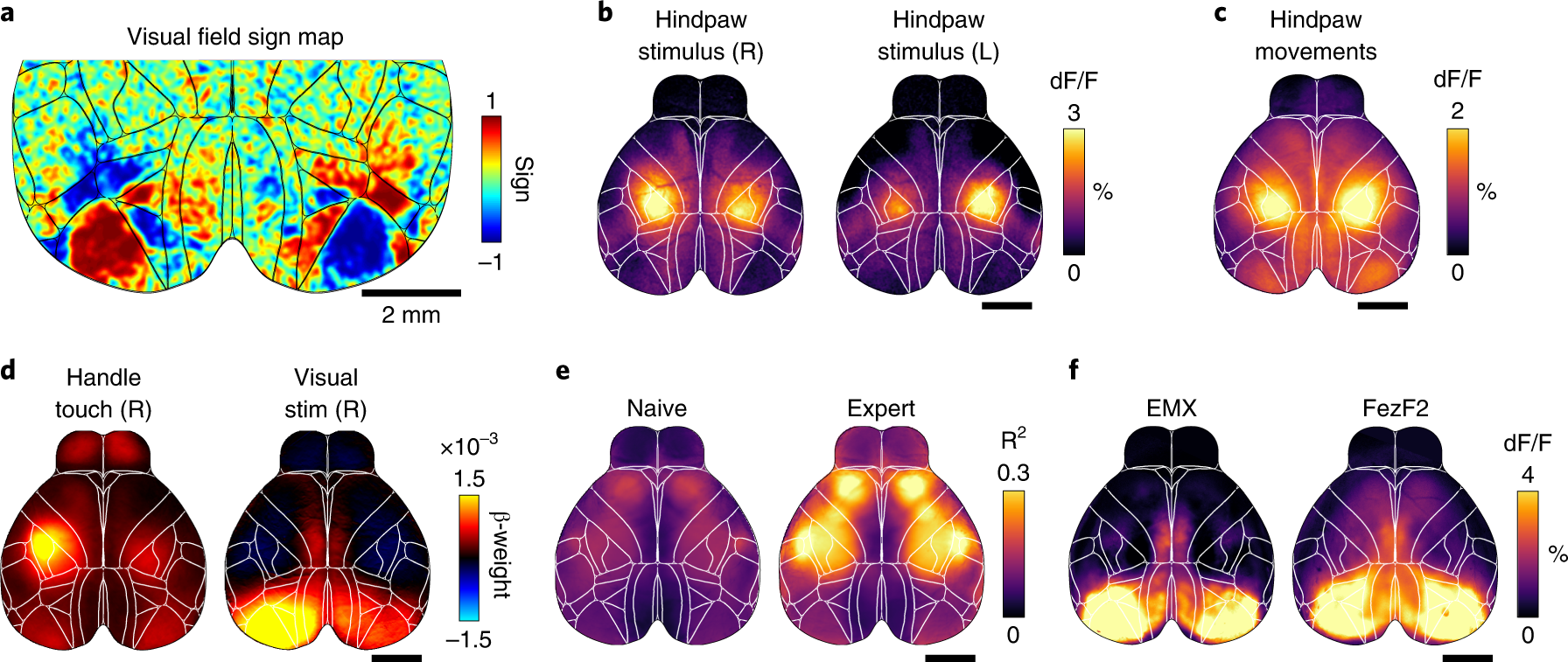 Fig. 7: Wide-field imaging applications.