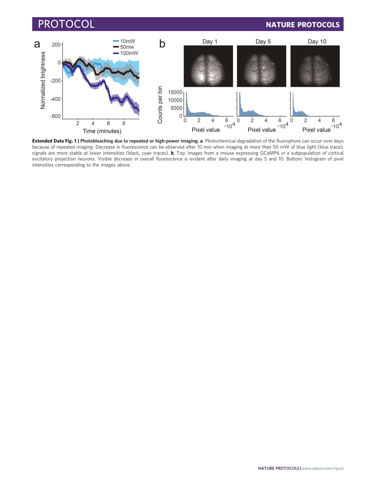 page-24