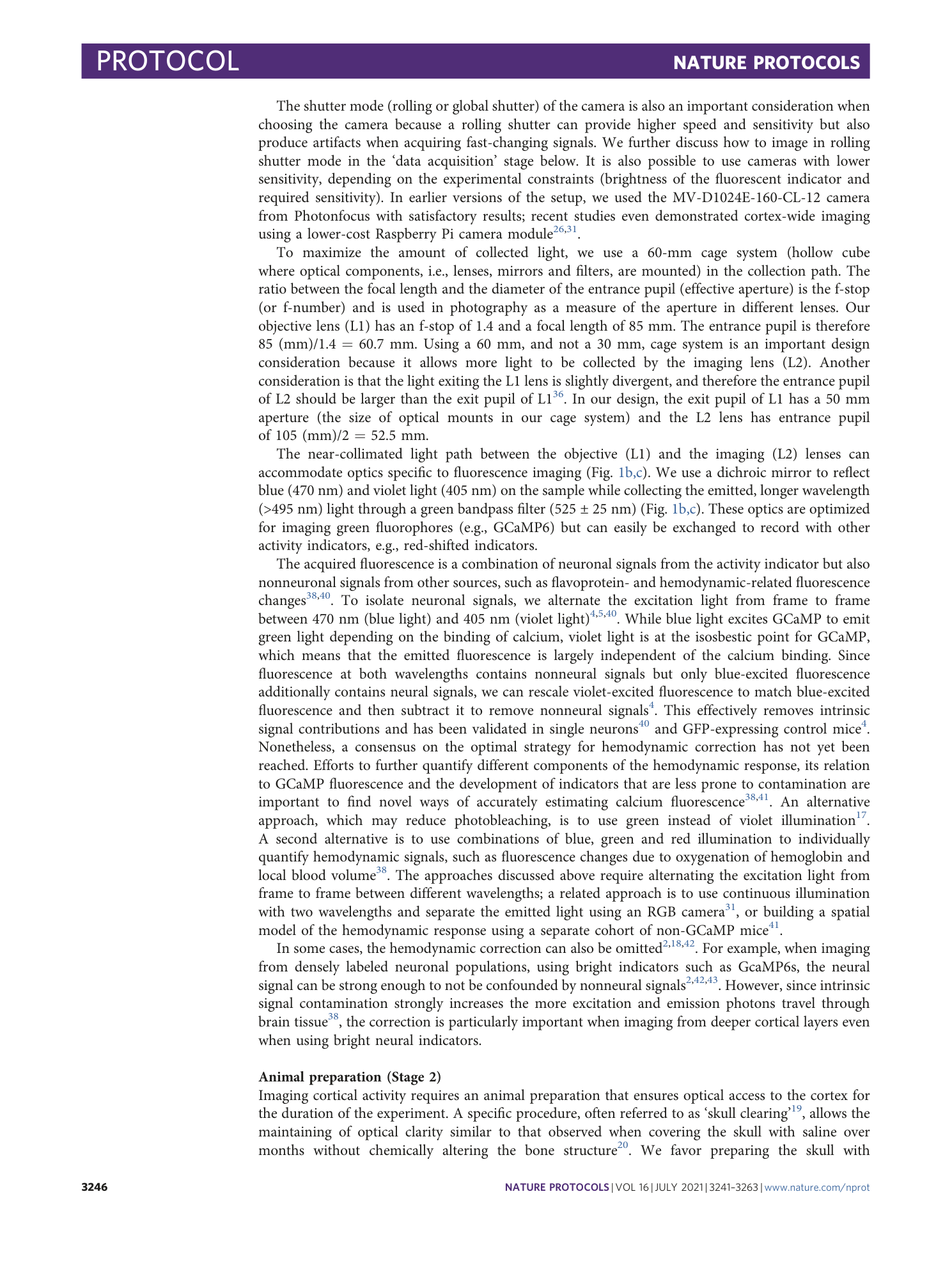 page-6