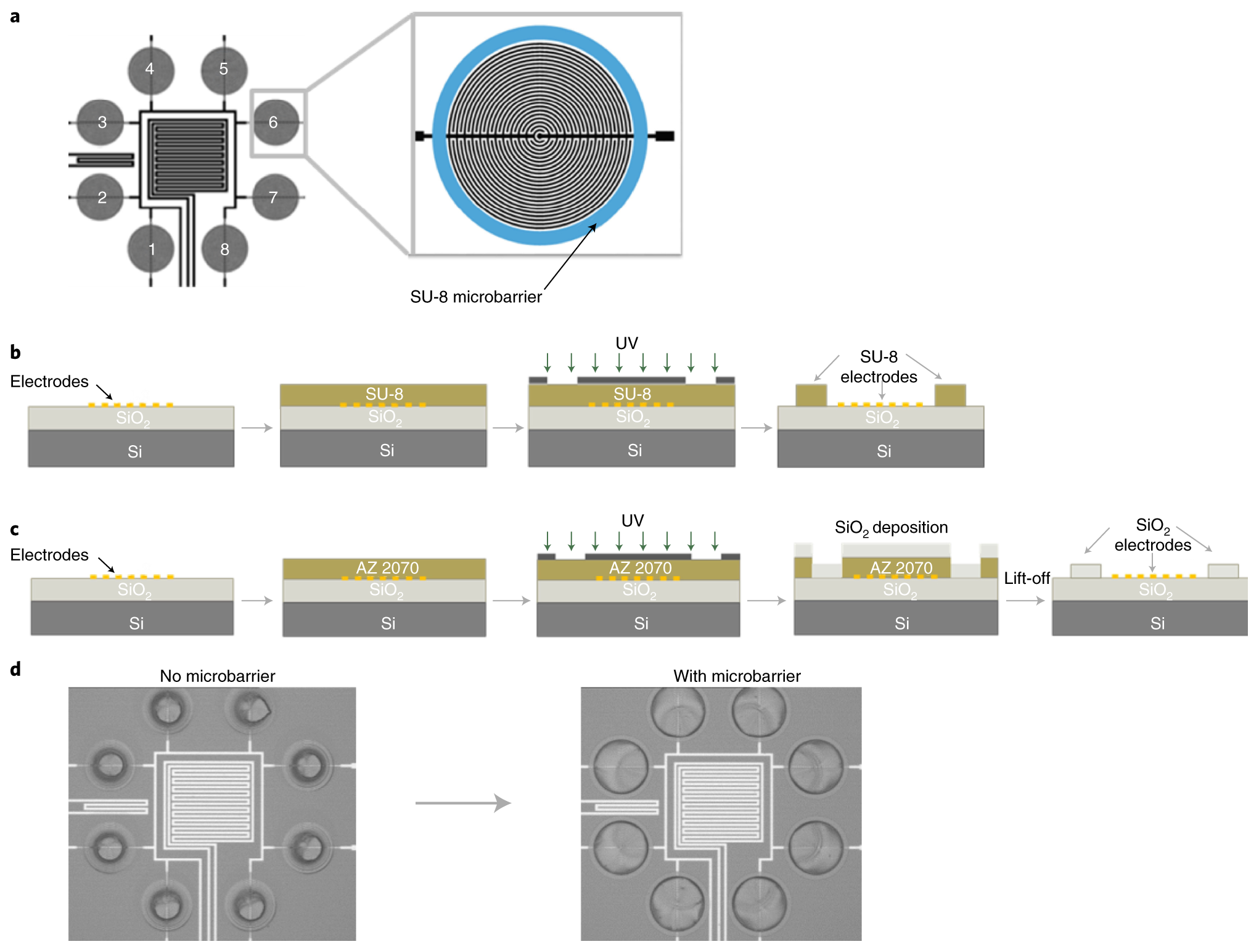 Fig. 3: Fabrication process of MCGNP-based sensing chips.