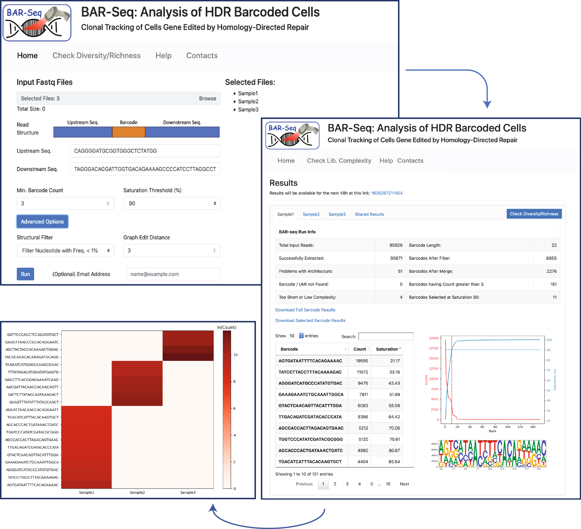 Fig. 4: Web application for BAR-Seq bioinformatic analyses.