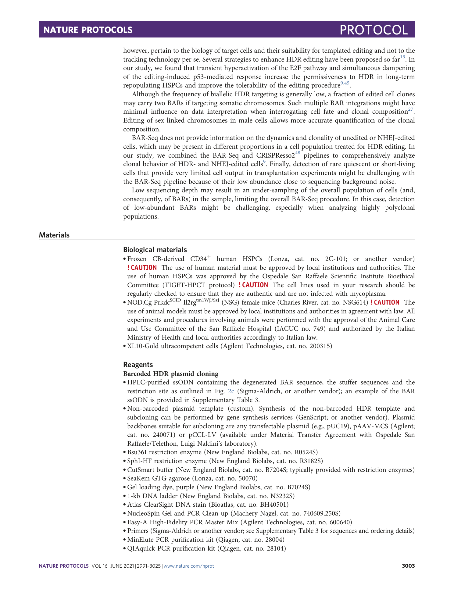 page-13